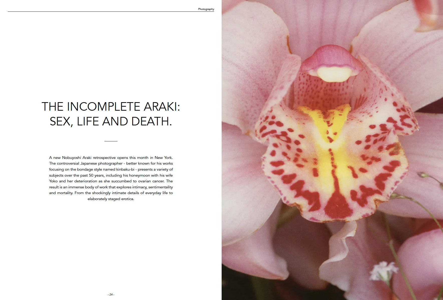 8-haikure-magazine-see-naples-and-die-sam-gregg-photography-photographer.jpg
