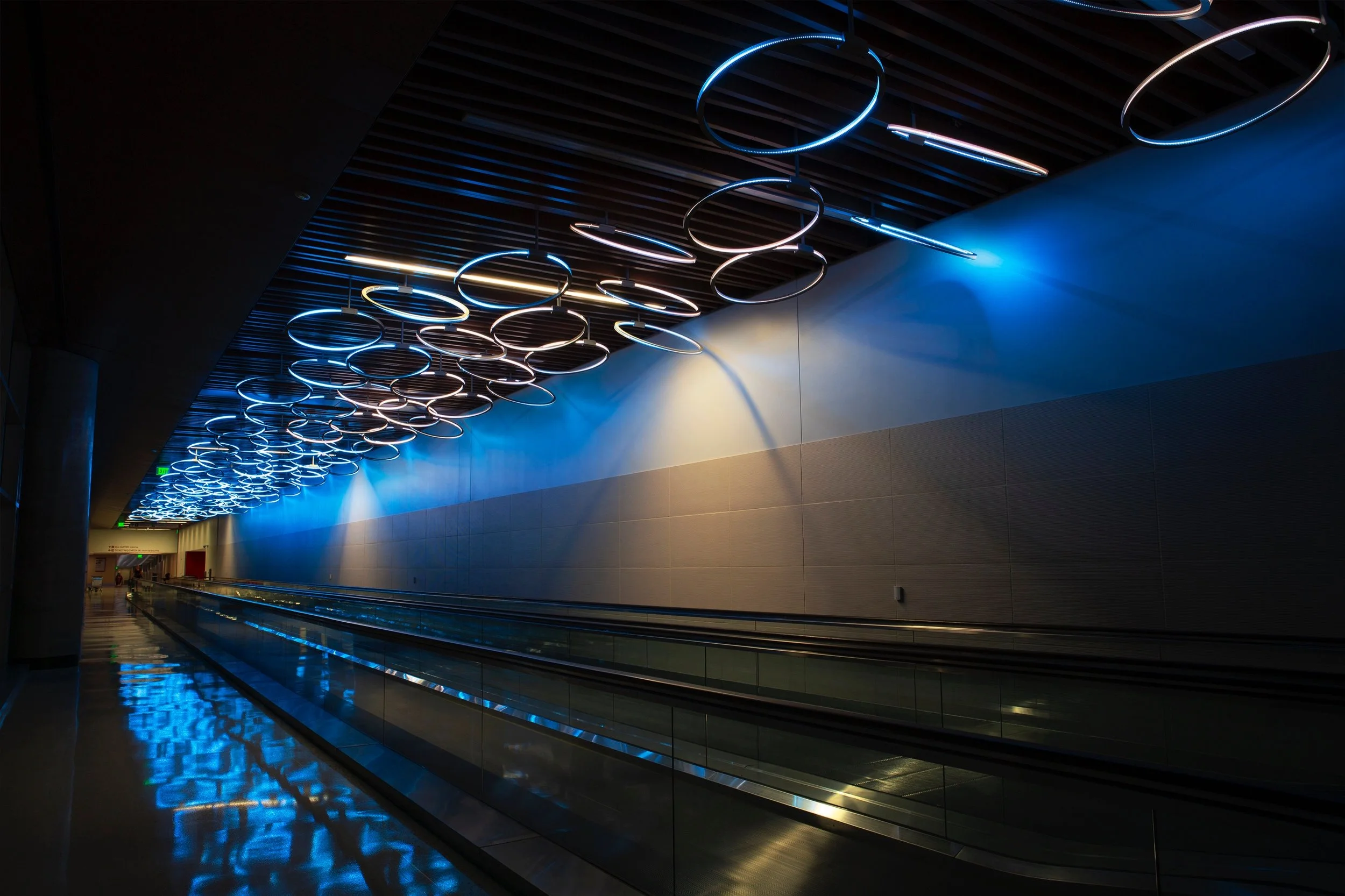 DLF_003.jpg