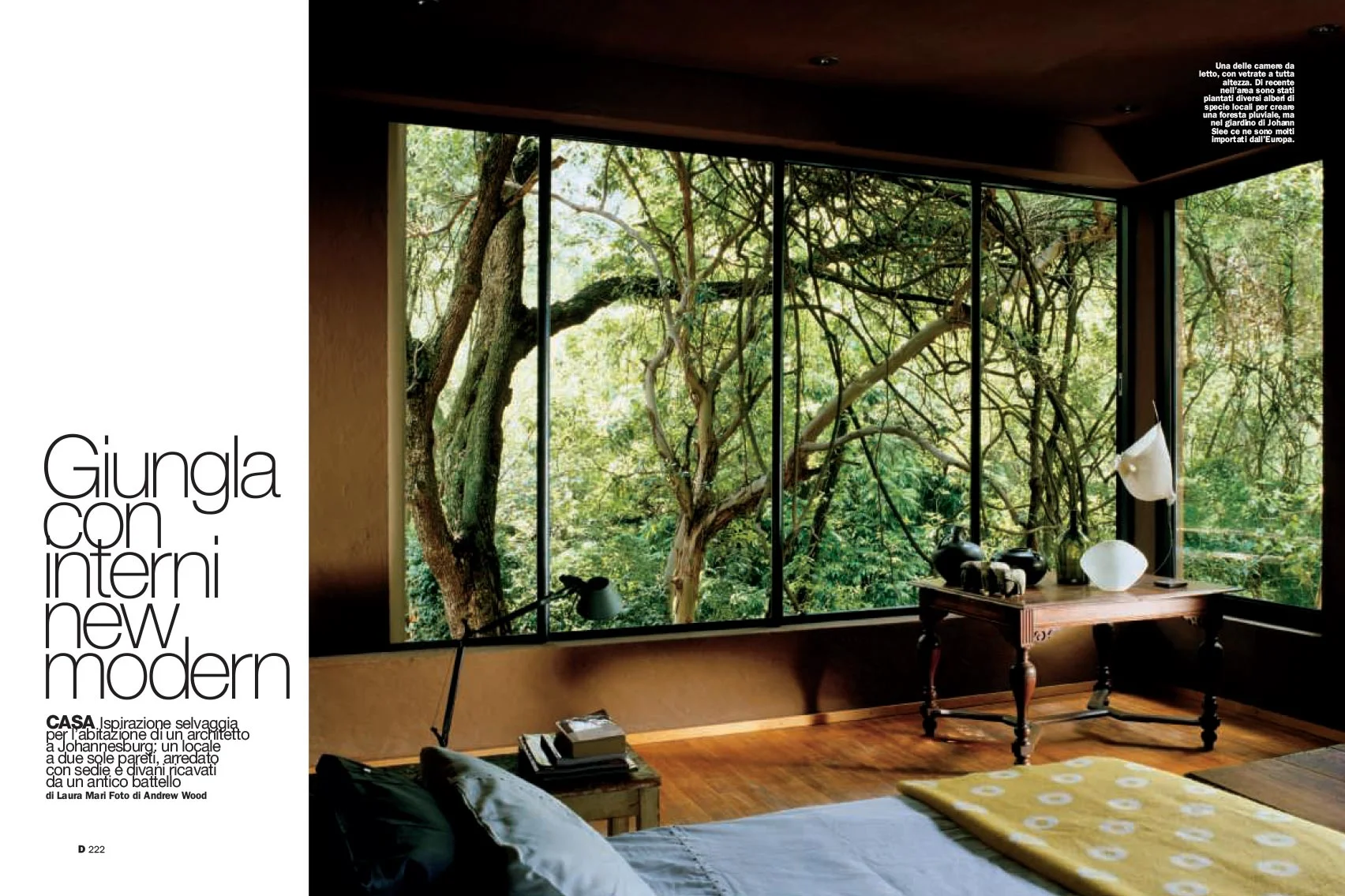 giungla con interni new modern