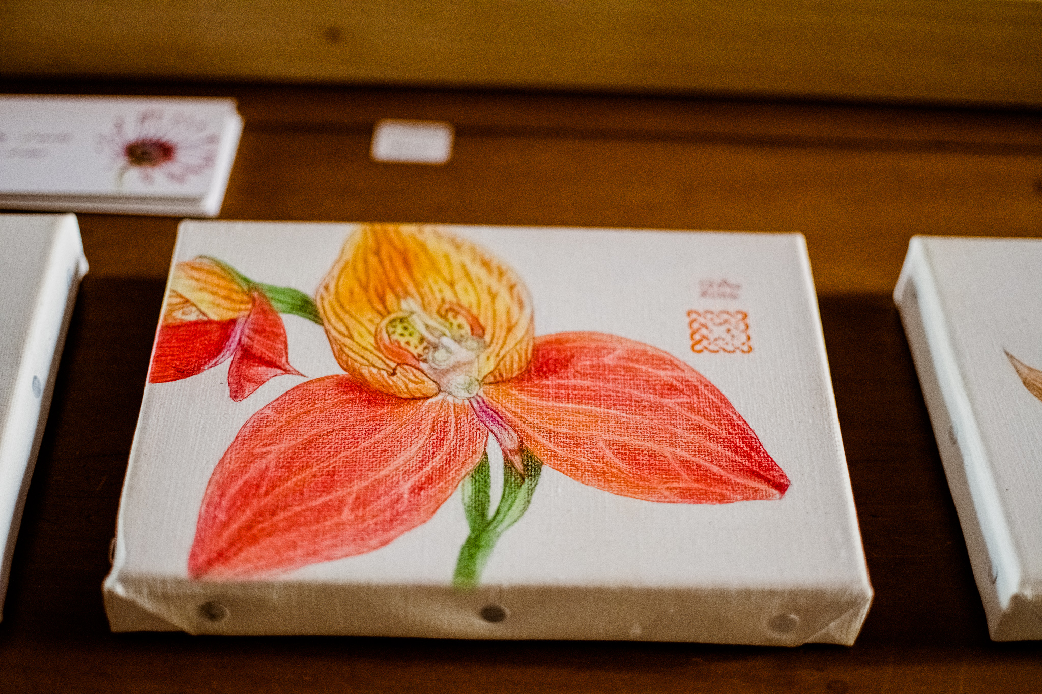 DSC_7812.jpg