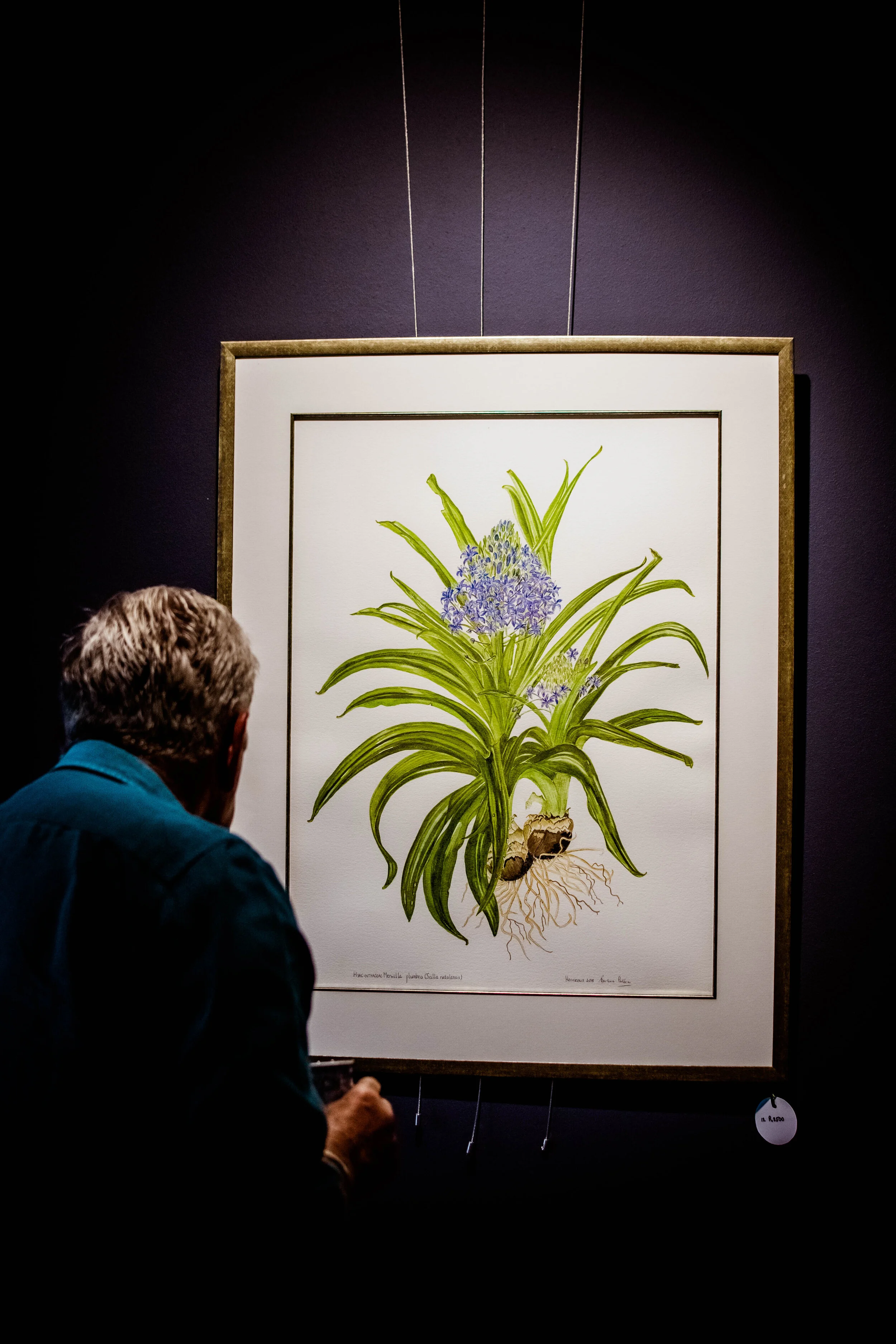 Barbara (14 of 65).JPG