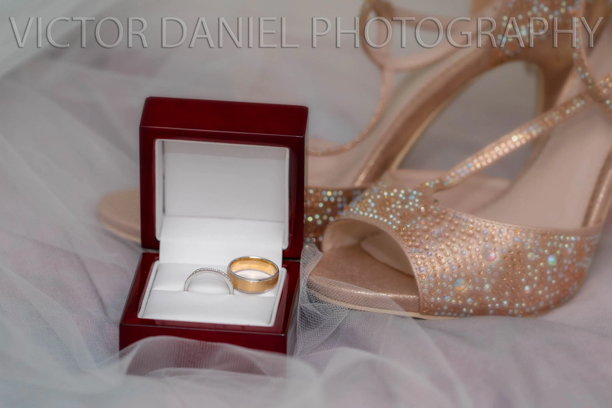 DSC06334-Edit-Edit-2-Edit-Edit-Edit.jpg