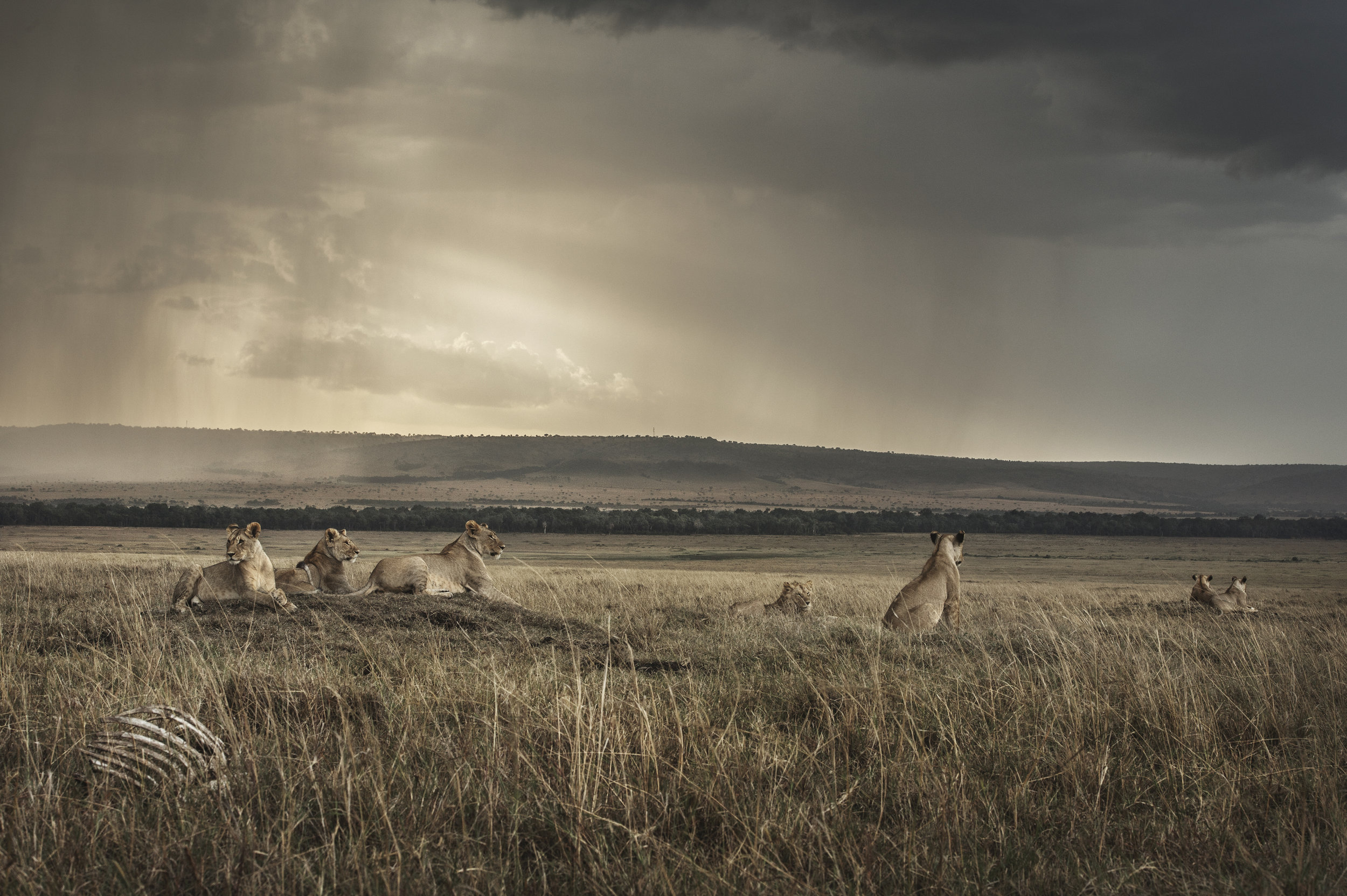 Land of man, Book of Leon 2012-2016. © Nina Siemiatkowski.