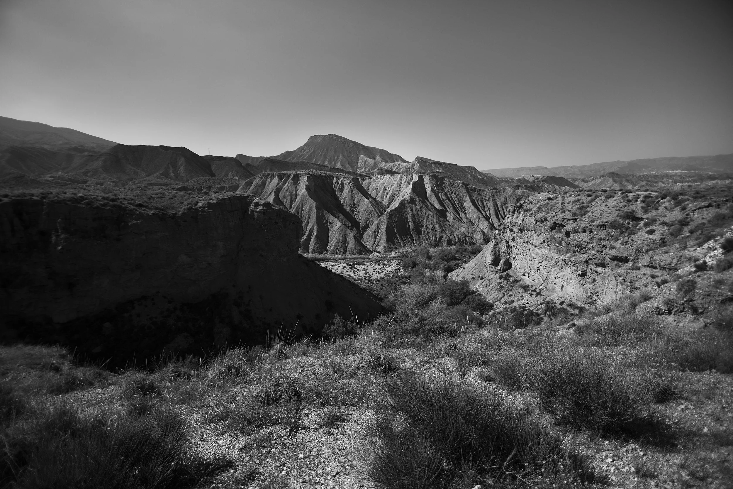 IMG_0937bw.jpg