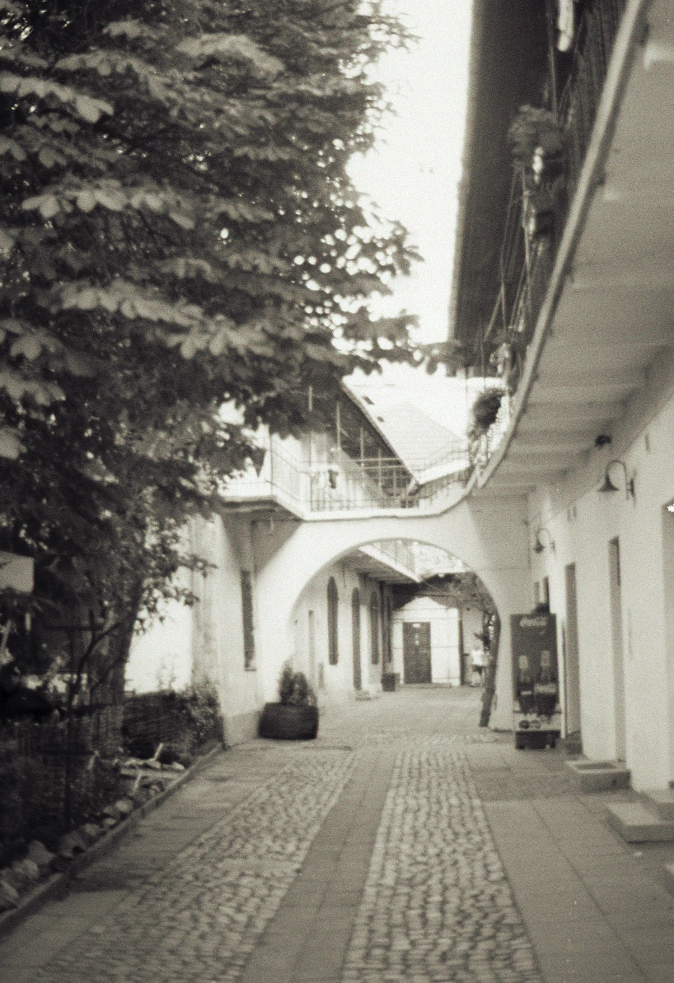 Scan (13).jpg