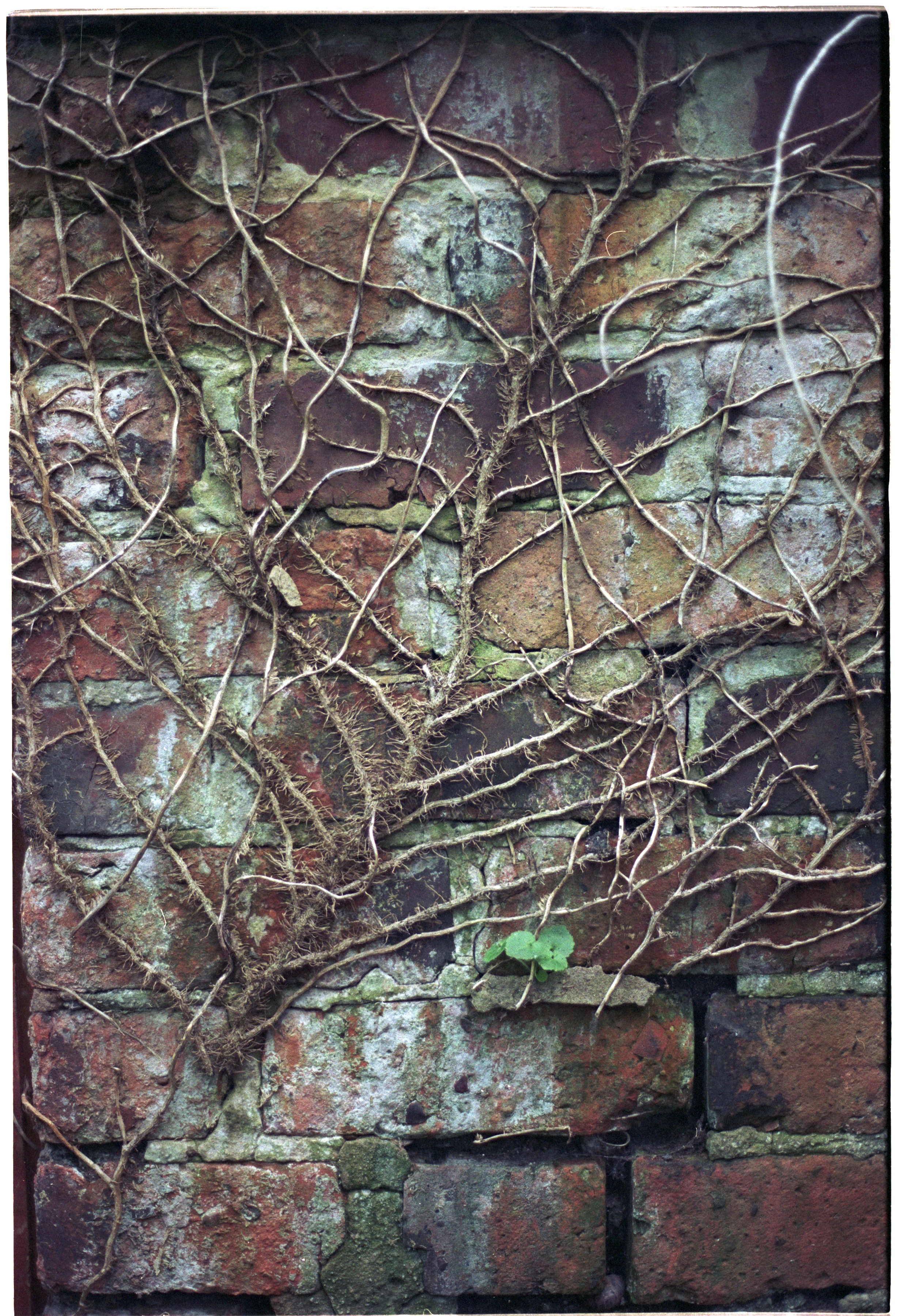Untitled (13).jpg