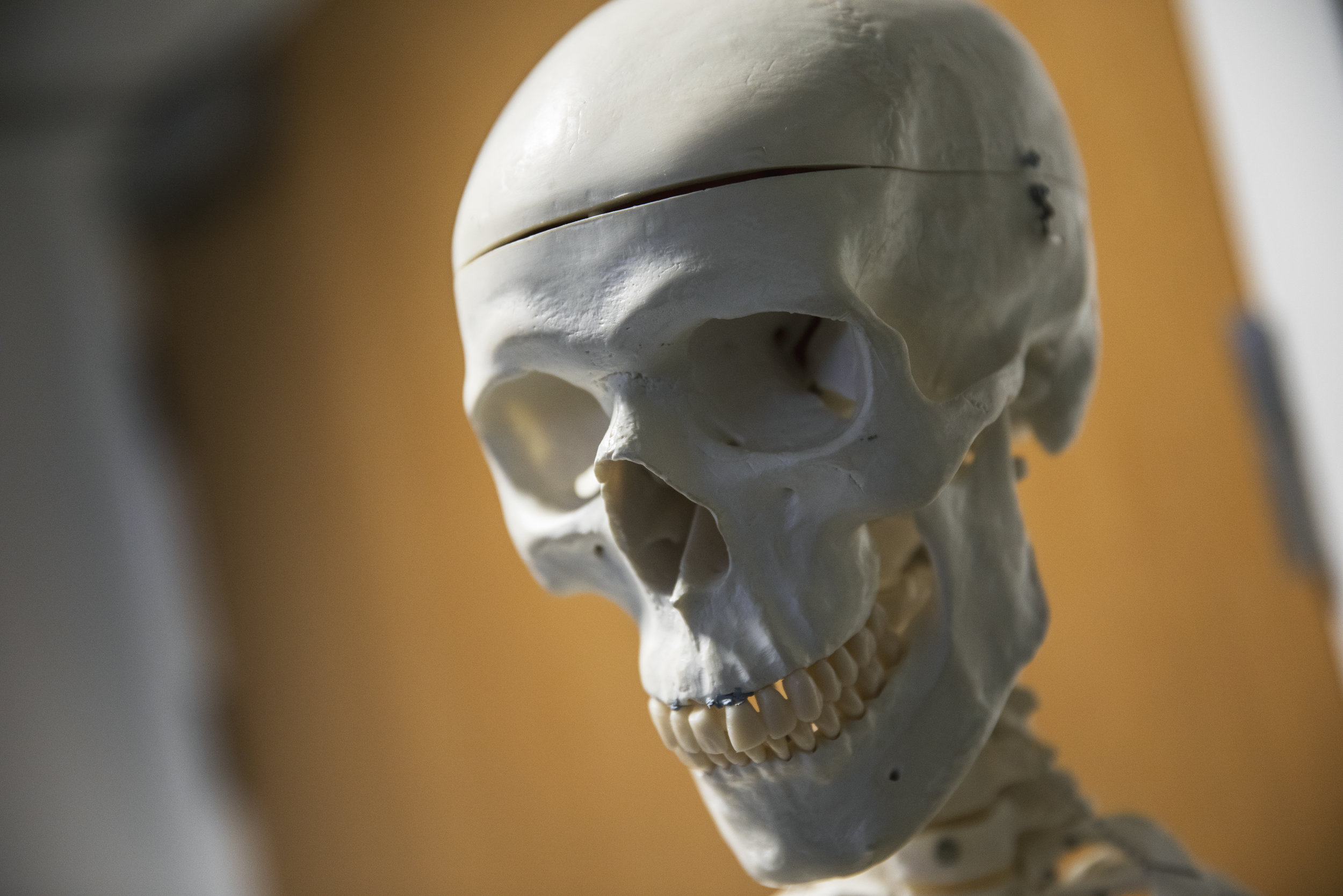 UOSMar19-Radiography-4.jpg