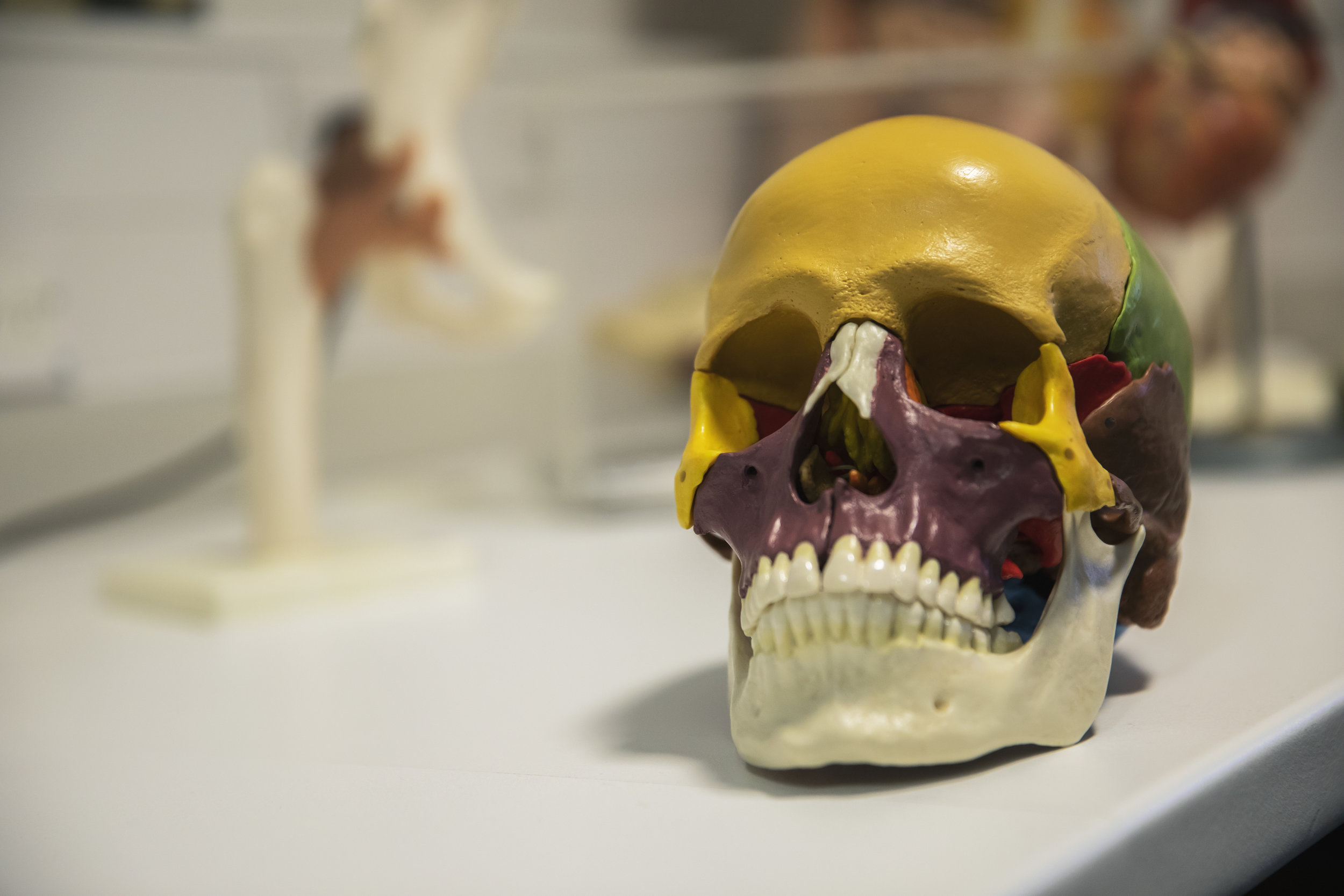 UOSMar19-Radiography-37.jpg