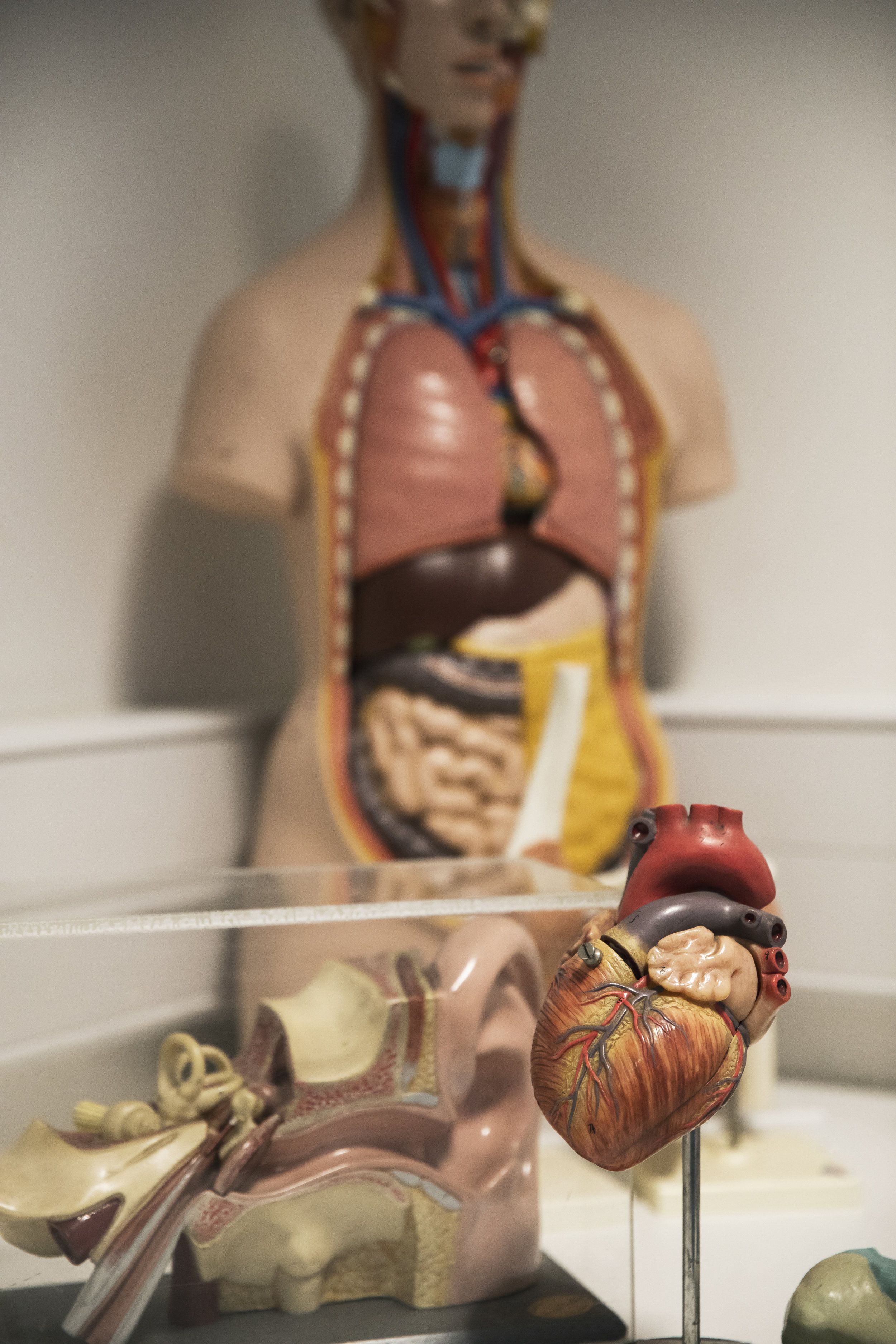 UOSMar19-Radiography-38.jpg