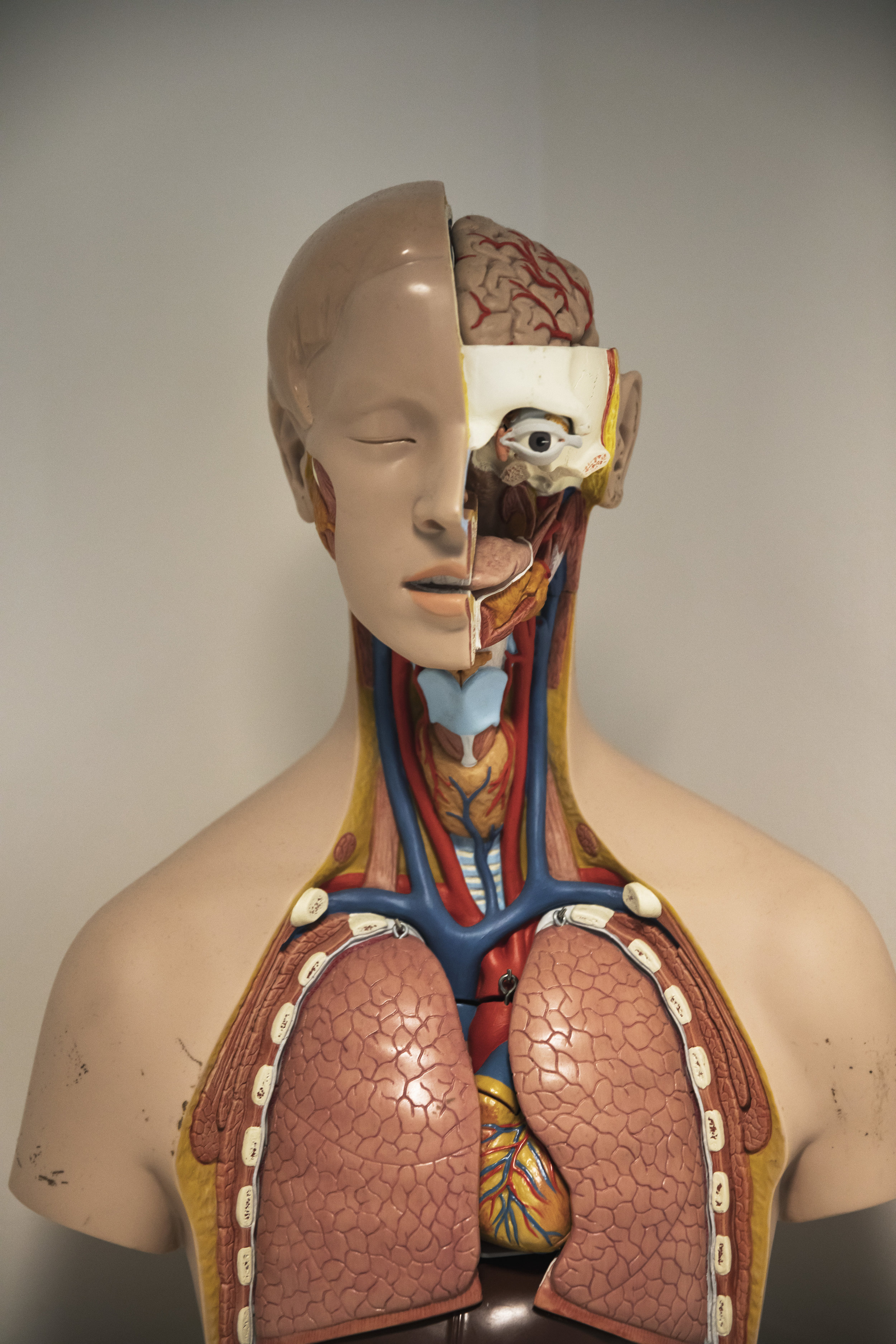 UOSMar19-Radiography-39.jpg