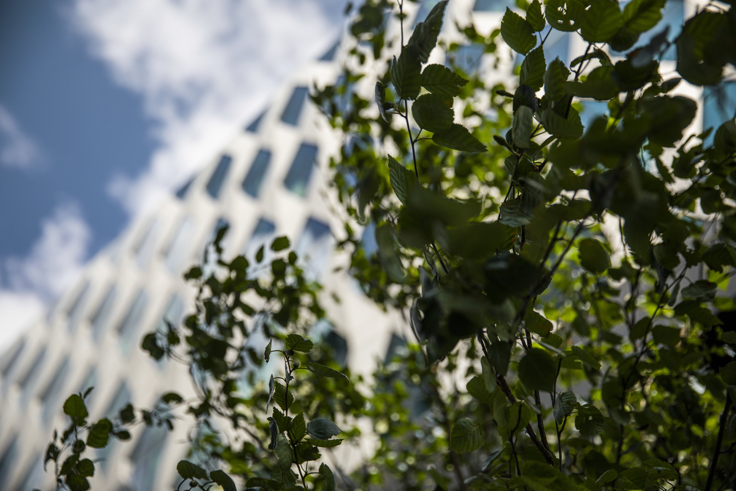 UOSJul19-MediaCityUK-95.jpg