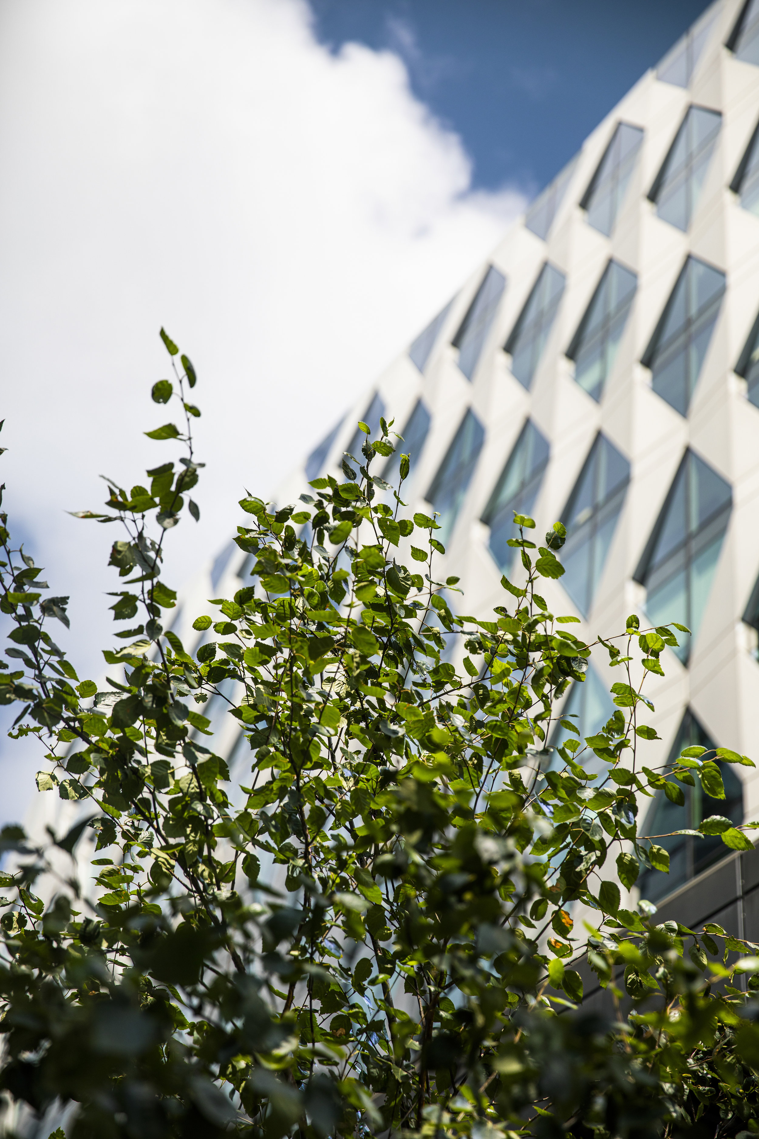 UOSJul19-MediaCityUK-98.jpg