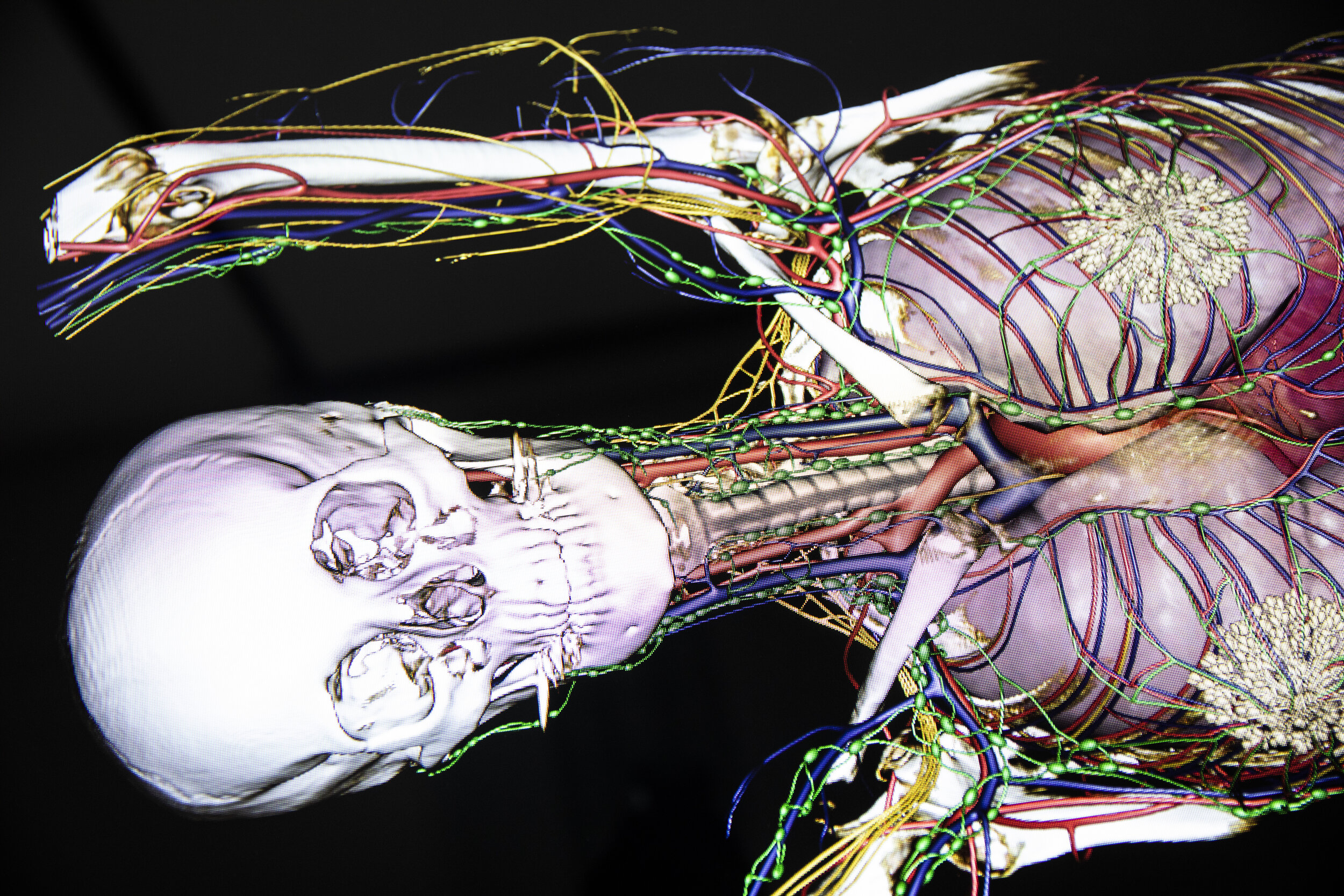 UOSJan20-Anatomage Table-13.jpg