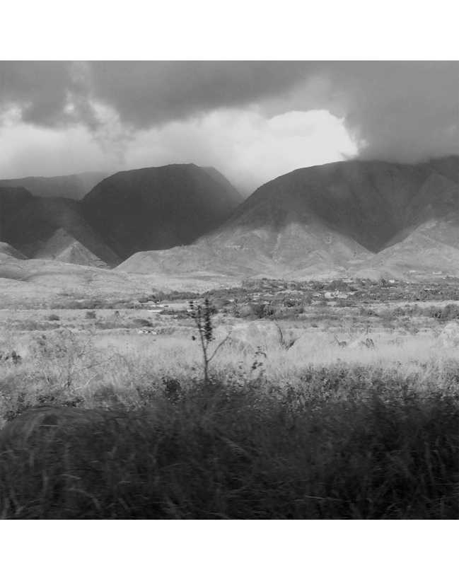 landscapell.jpg