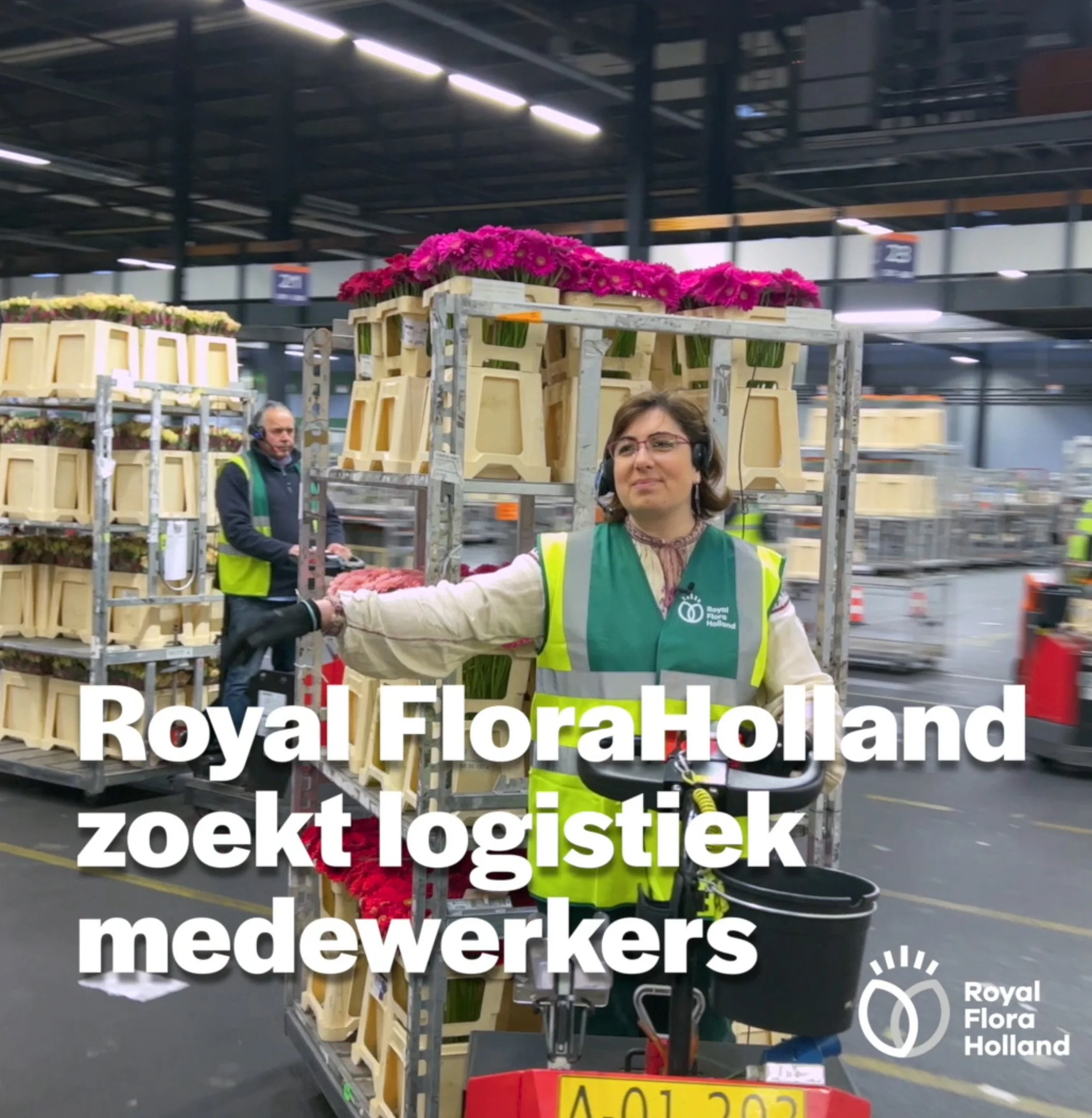 Soical Ionelia Staand Royal Flora Holland. Niels Stomps