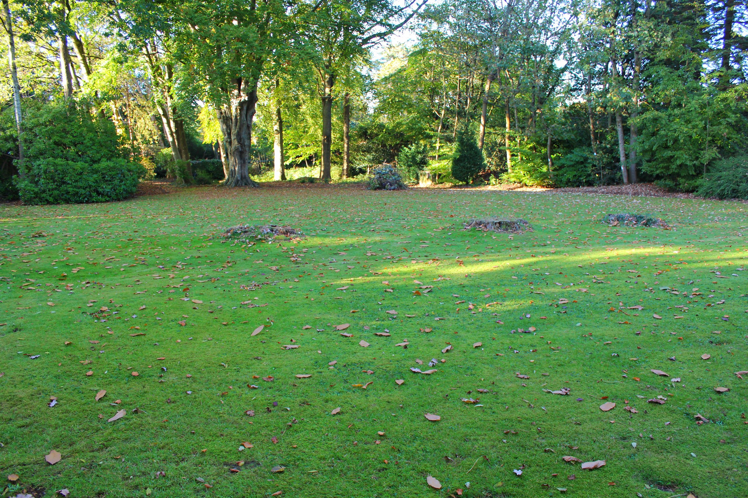 OG Plot (1) IMG_3765.jpeg