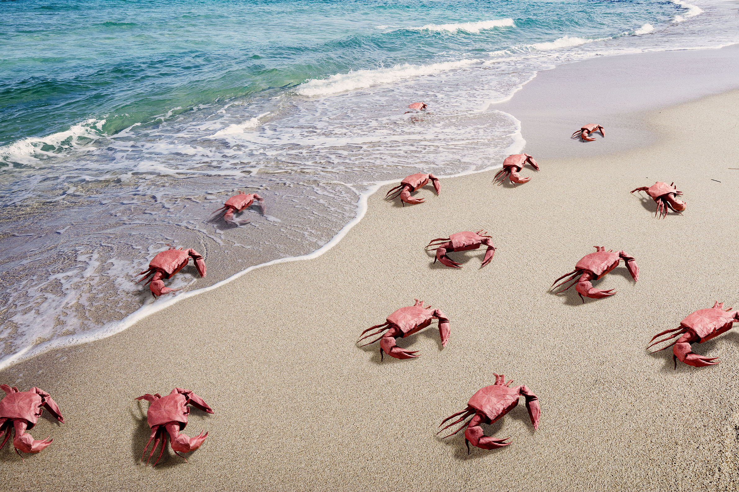 Beach_Origami_Crabs_def.jpg