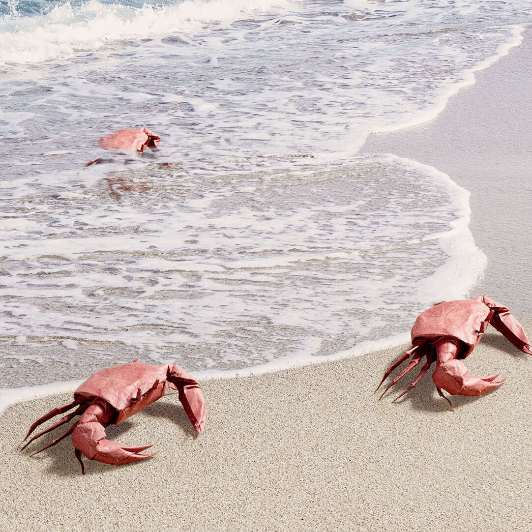 Beach_Origami_Crabs_def Kopie 2.jpg