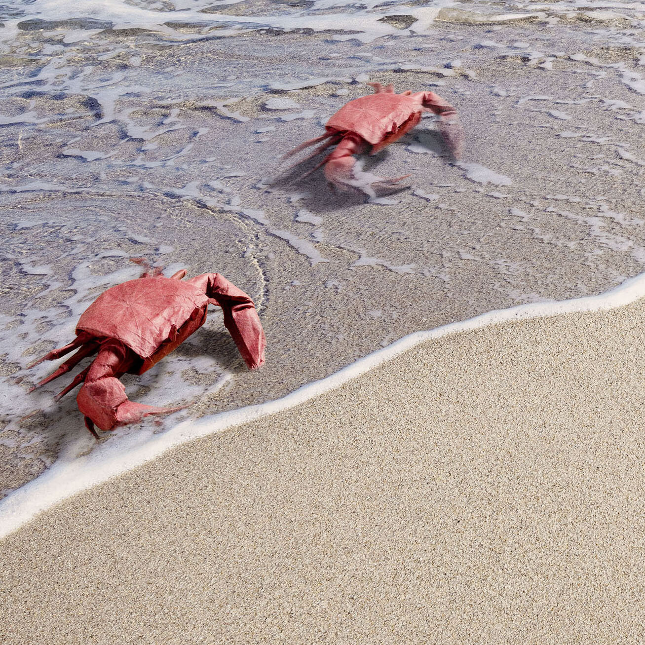 Beach_Origami_Crabs_def Kopie 3.jpg