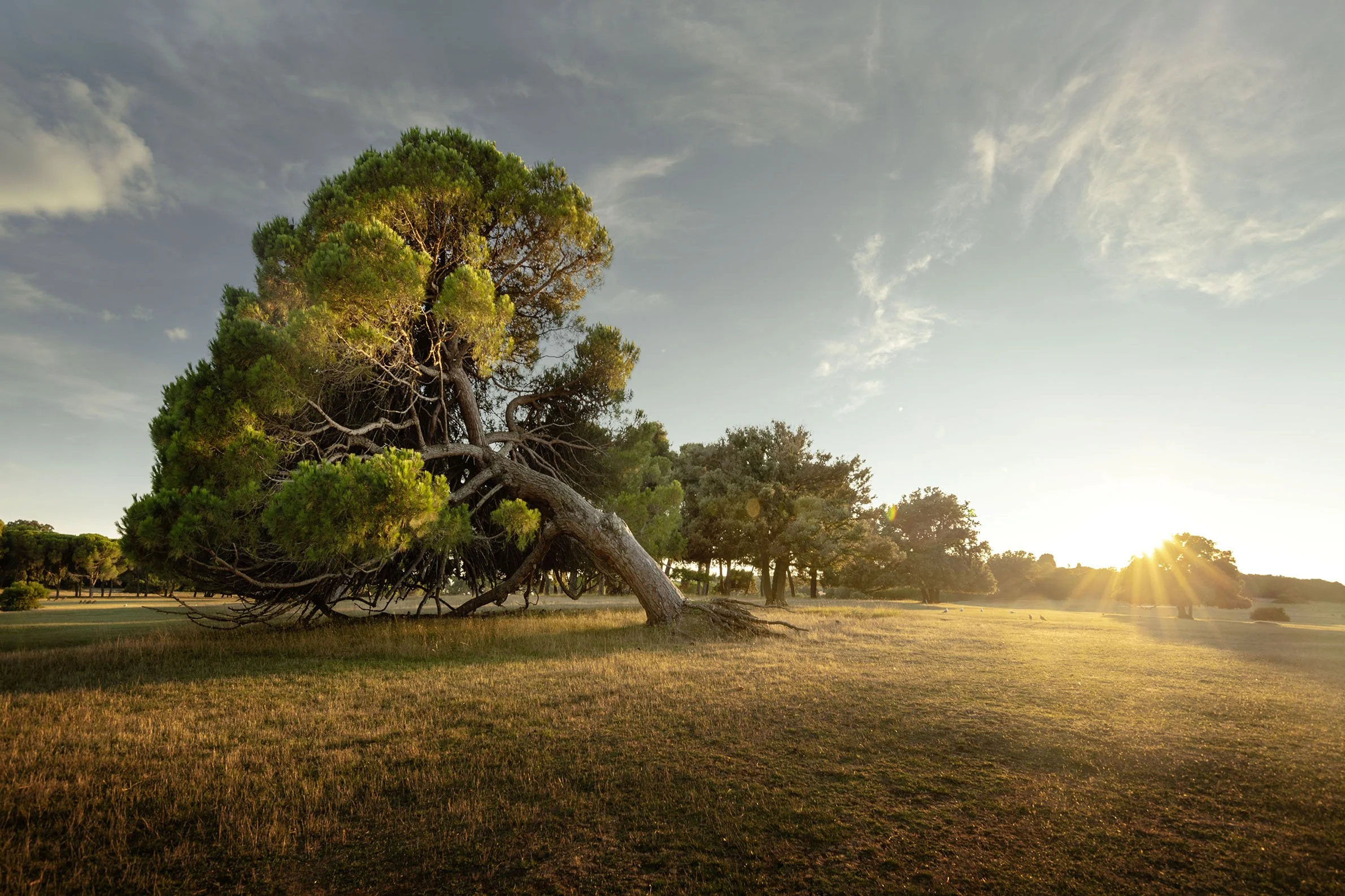 Brijuni_Croatia_01_2_Mood Kopie.jpg