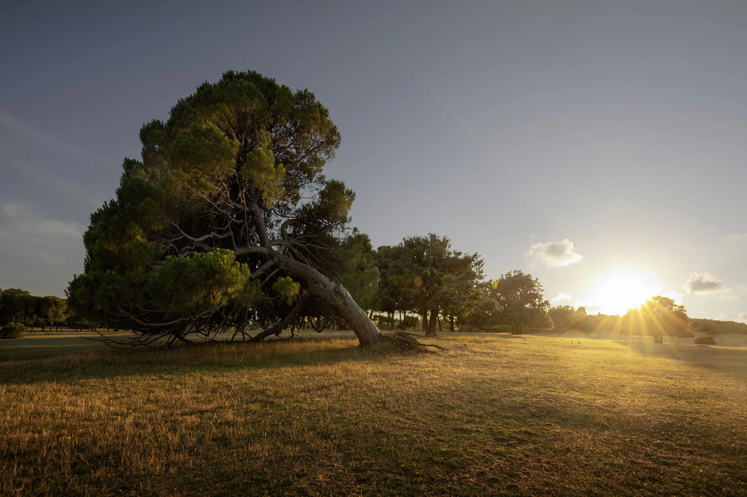 Brijuni_Croatia_01 Kopie.jpg