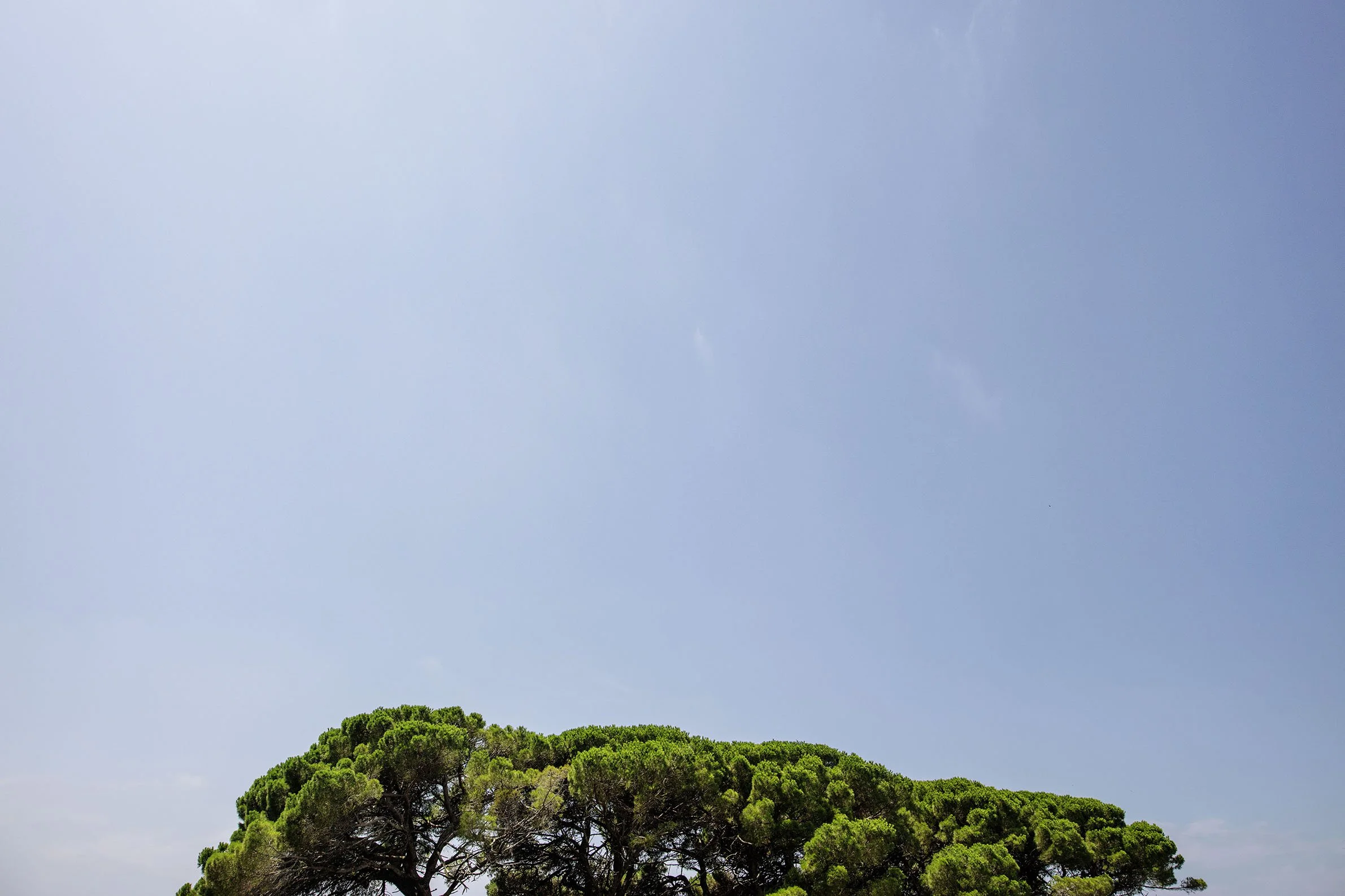 Brijuni_Croatia_03 Kopie.jpg