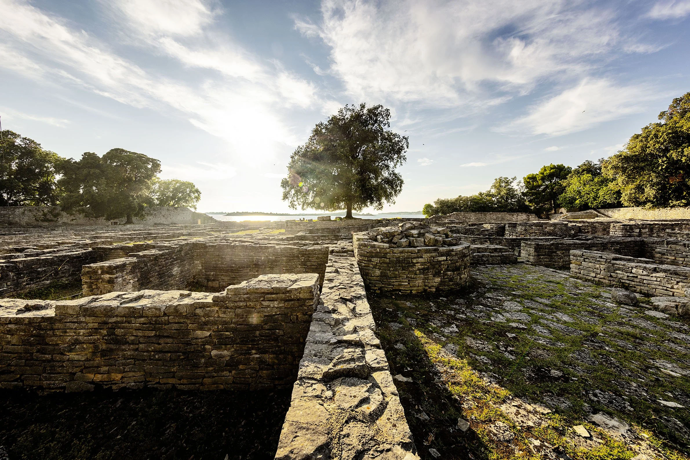 Brijuni_Croatia_05 Kopie.jpg