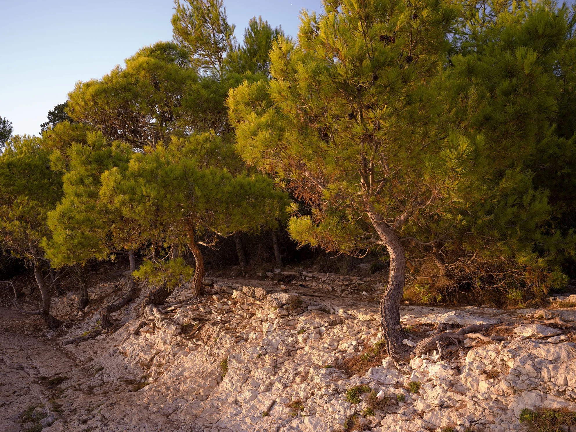 Kap Kamenjak_10.jpeg