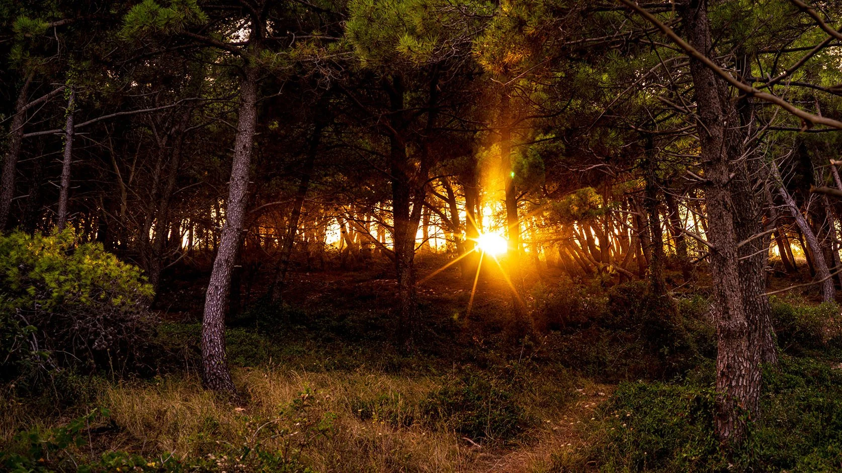 Kap Kamenjak_17.jpeg