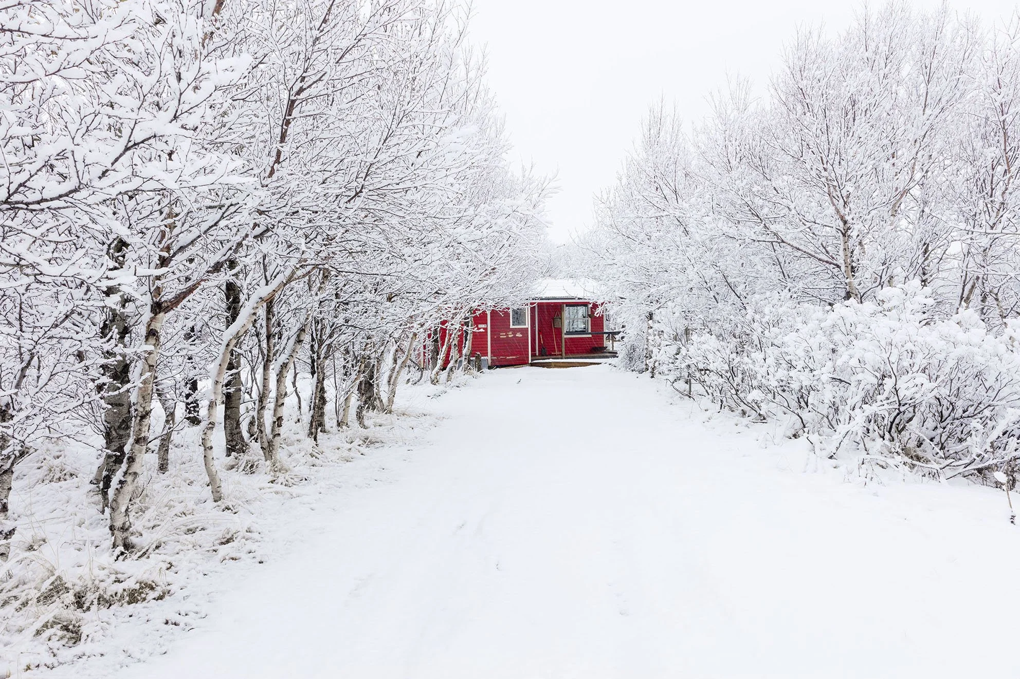 Red_Cottage_snow.jpg