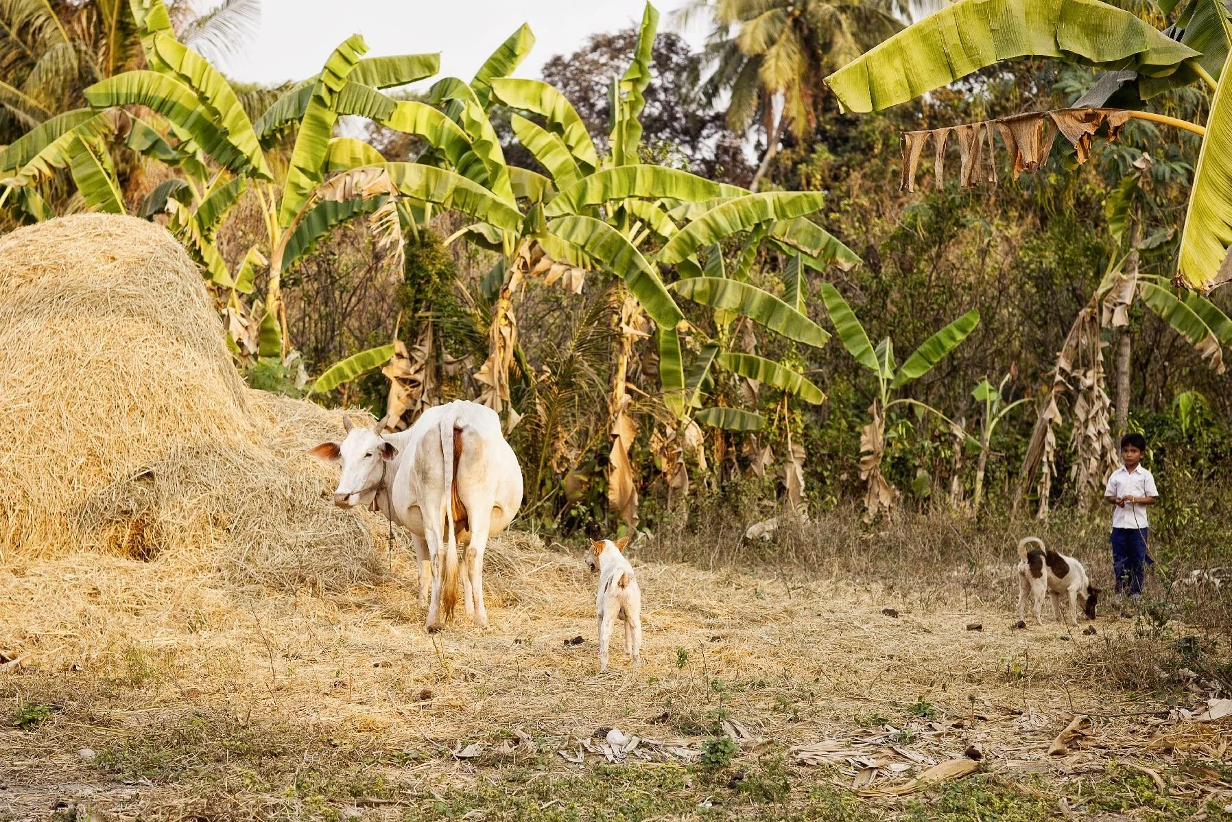 Cambodia Div-82.jpeg