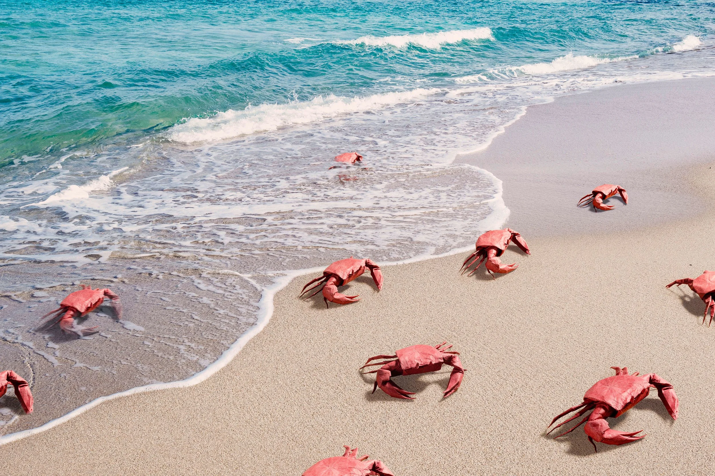 Beach_Origami_Crabs_def Kopie 1.jpg