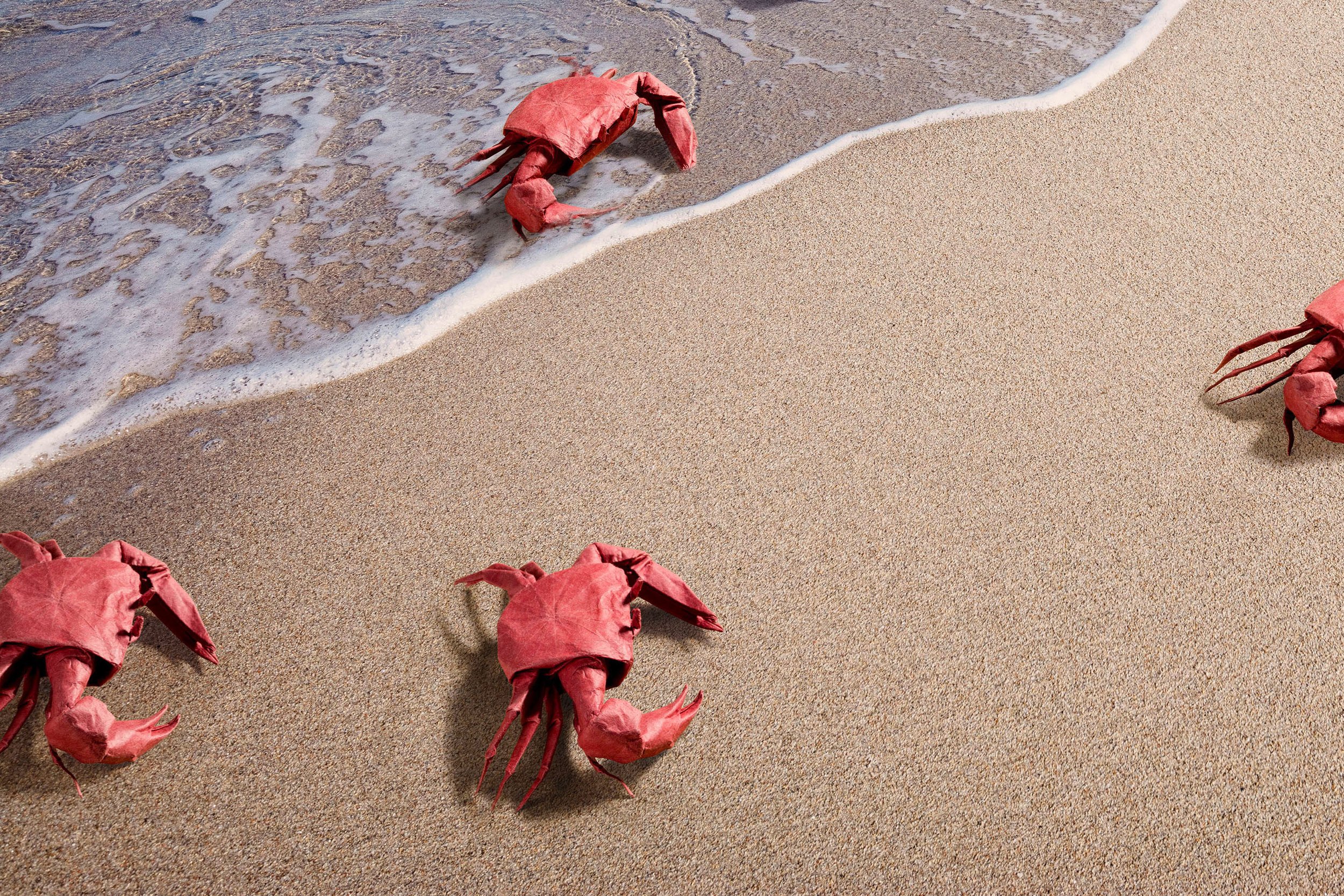Beach_Origami_Crabs_def Kopie 2.jpg