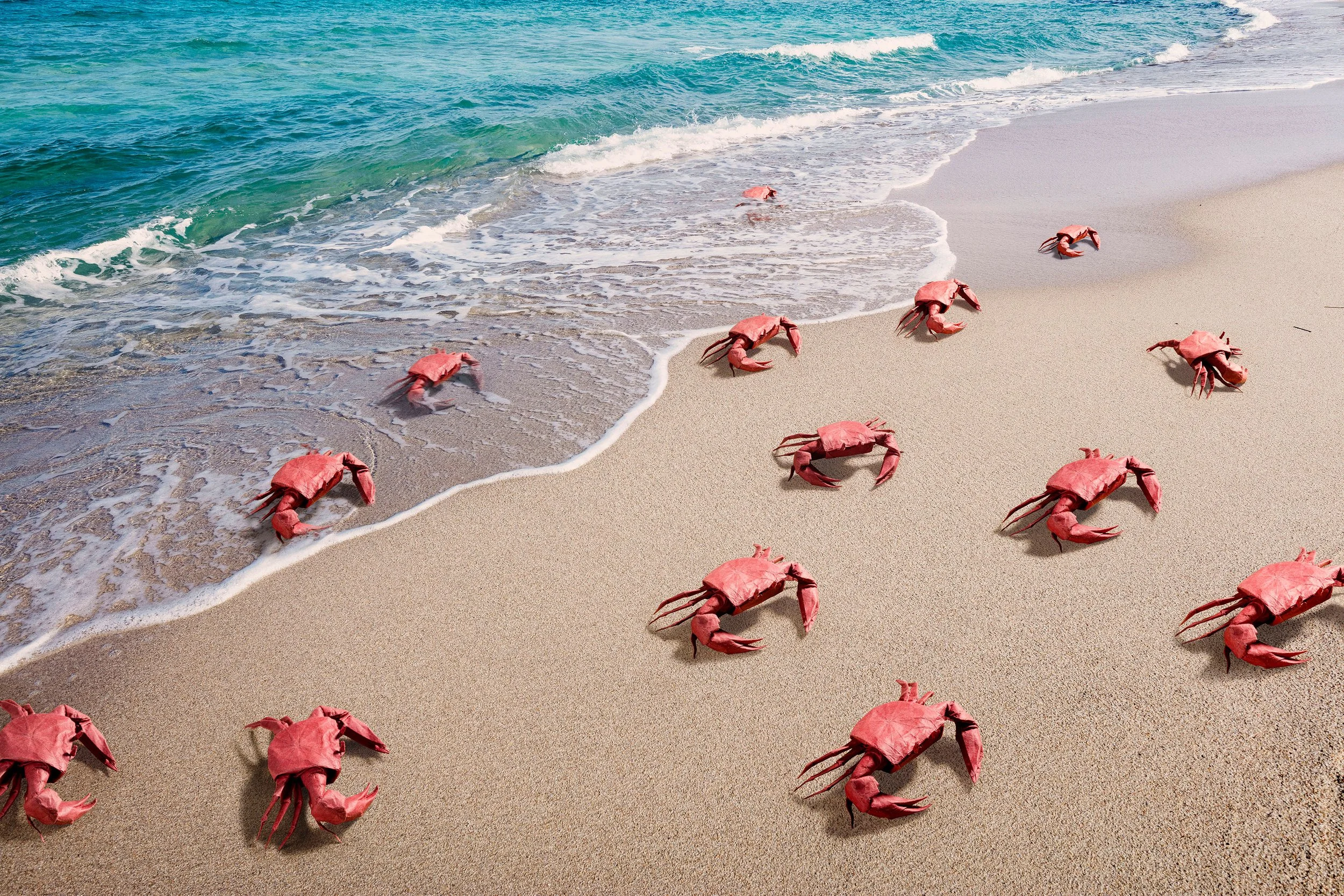 Beach_Origami_Crabs_def.jpg