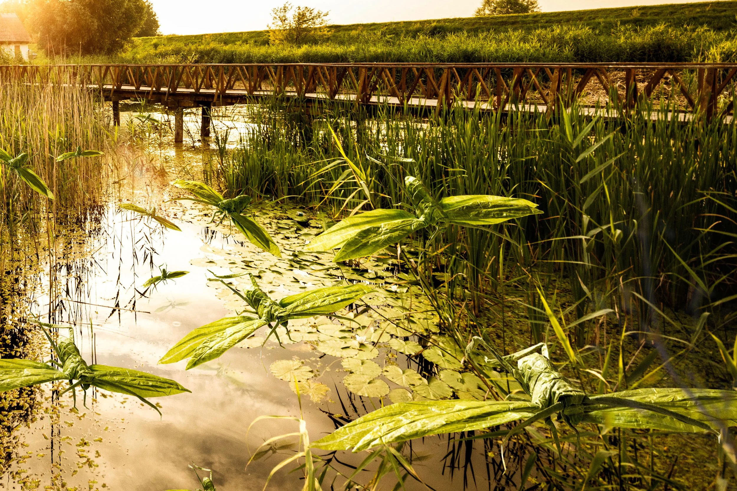 Heuschrecken Origami Postprocess