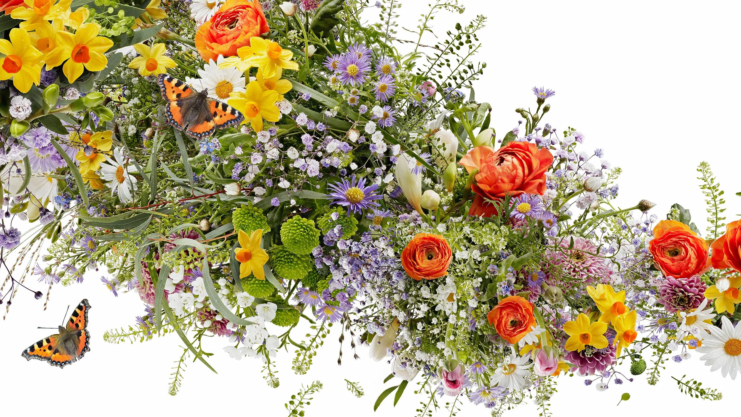 M-Frische-Blumen_3-DNA_Sommer_def Kopie 2.jpg