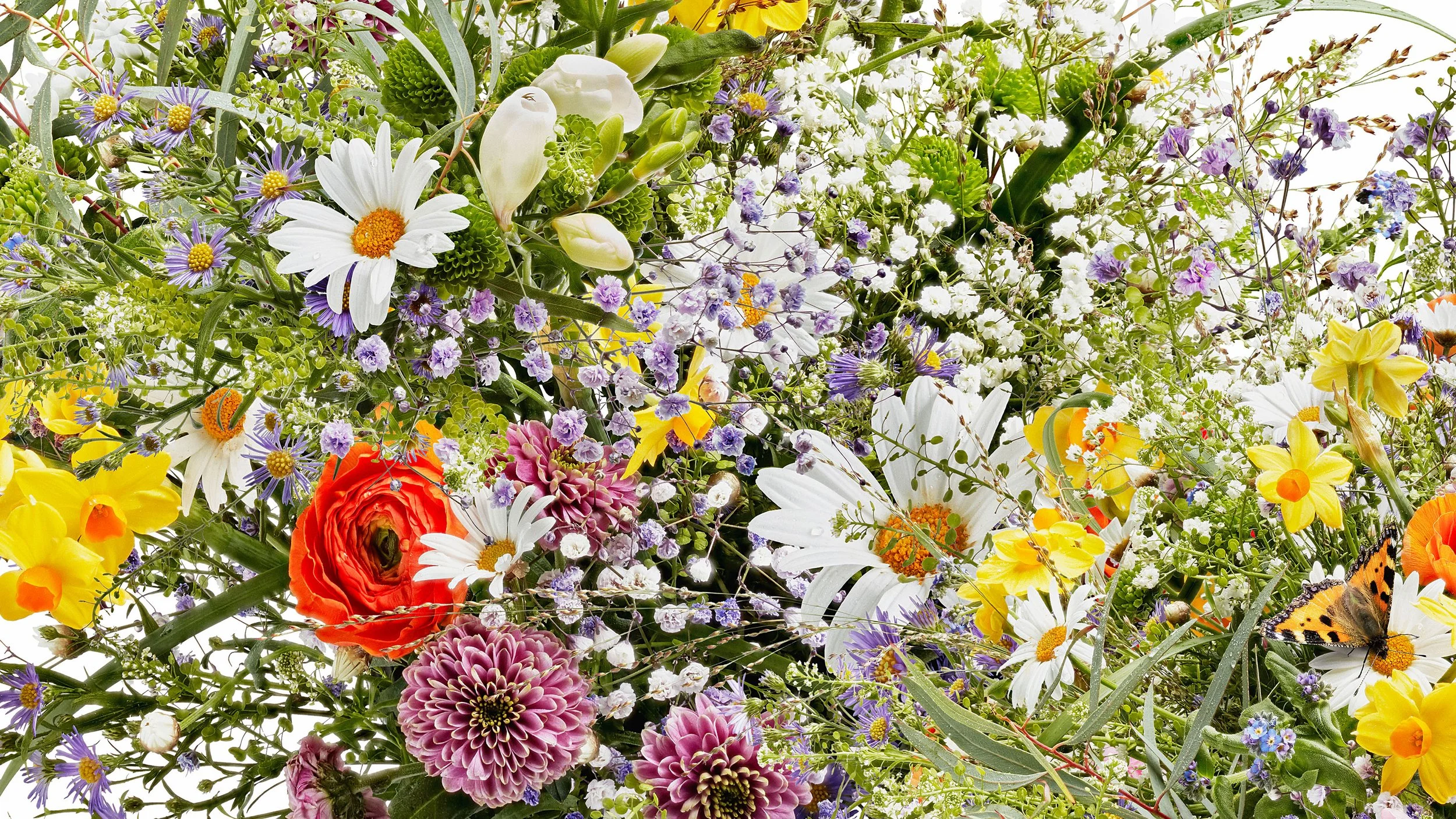 M-Frische-Blumen_3-DNA_Sommer_def Kopie 3.jpg