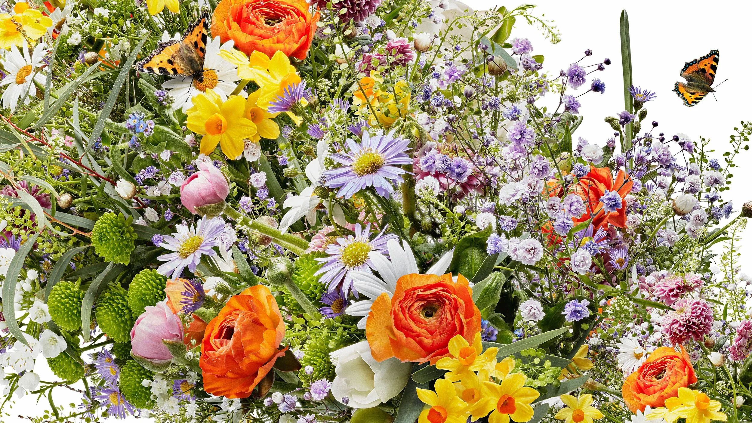 M-Frische-Blumen_3-DNA_Sommer_def Kopie.jpg