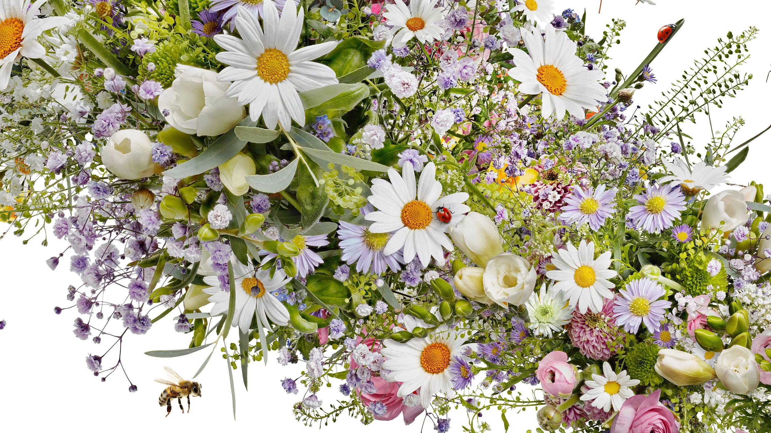 M-Frische-Blumen_4-DNA_Frühling_def Kopie 2.jpg