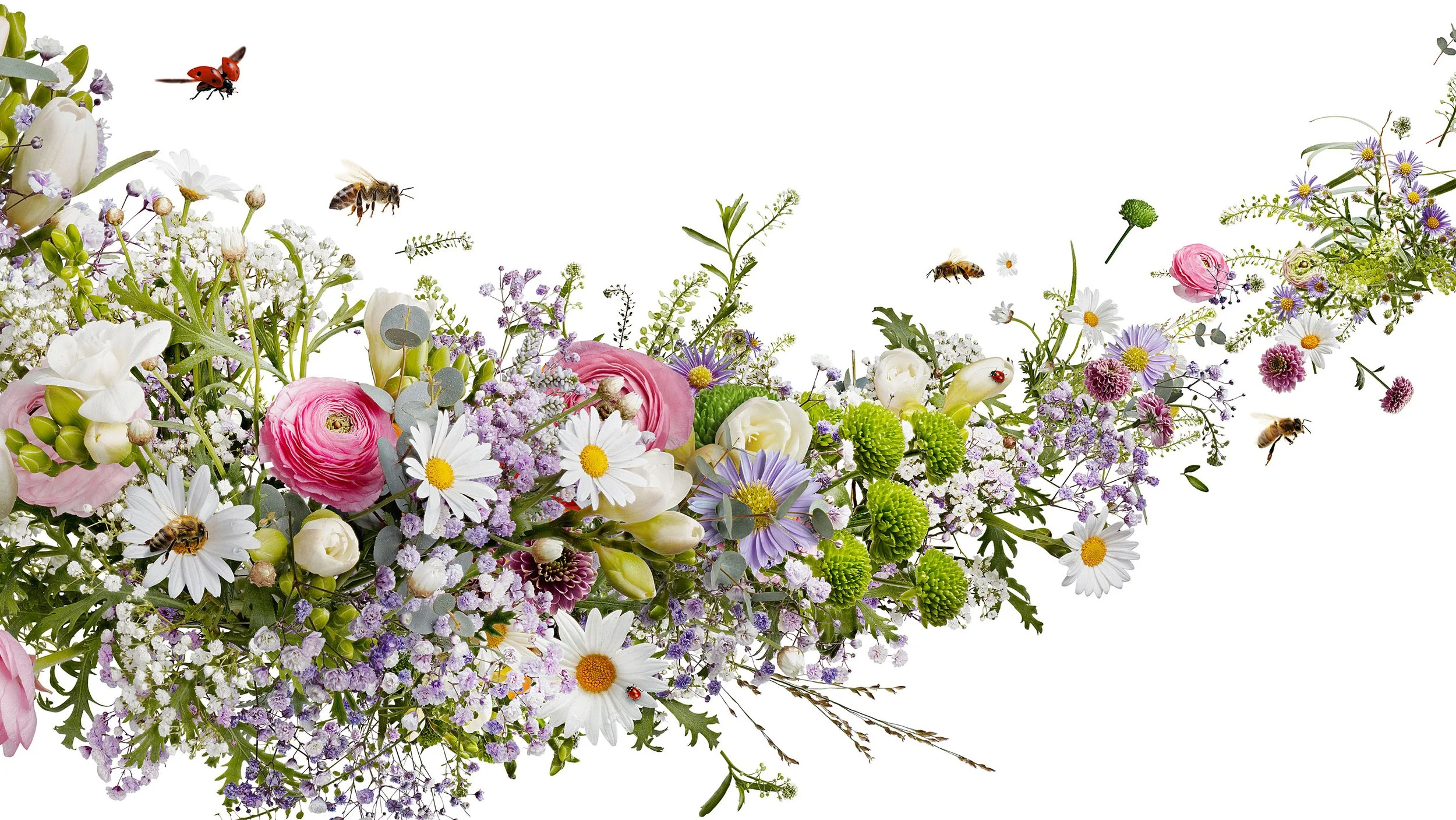 M-Frische-Blumen_4-DNA_Frühling_def Kopie 3.jpg