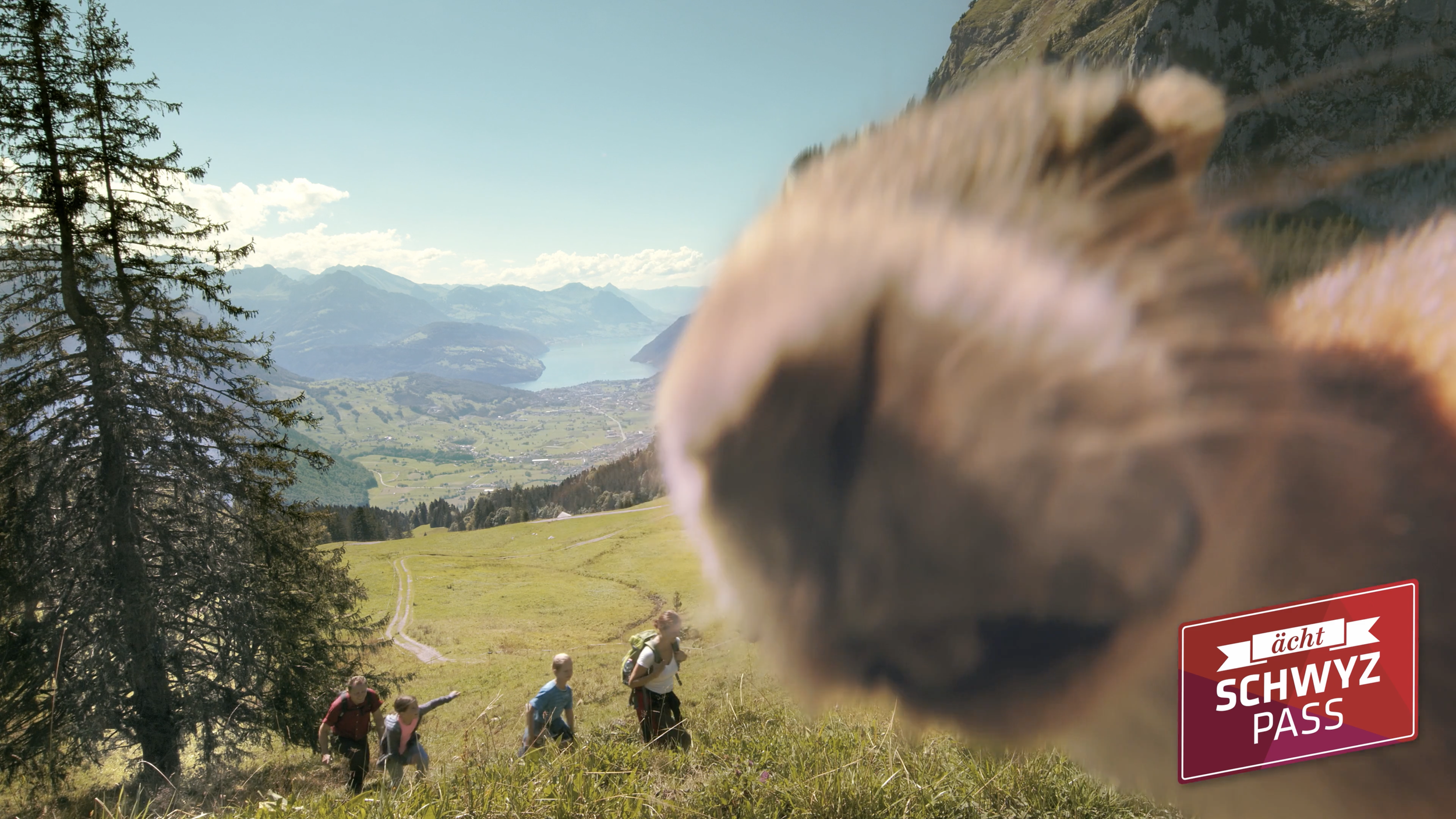 Schwyz Tourismus – Photobomb Squirrel