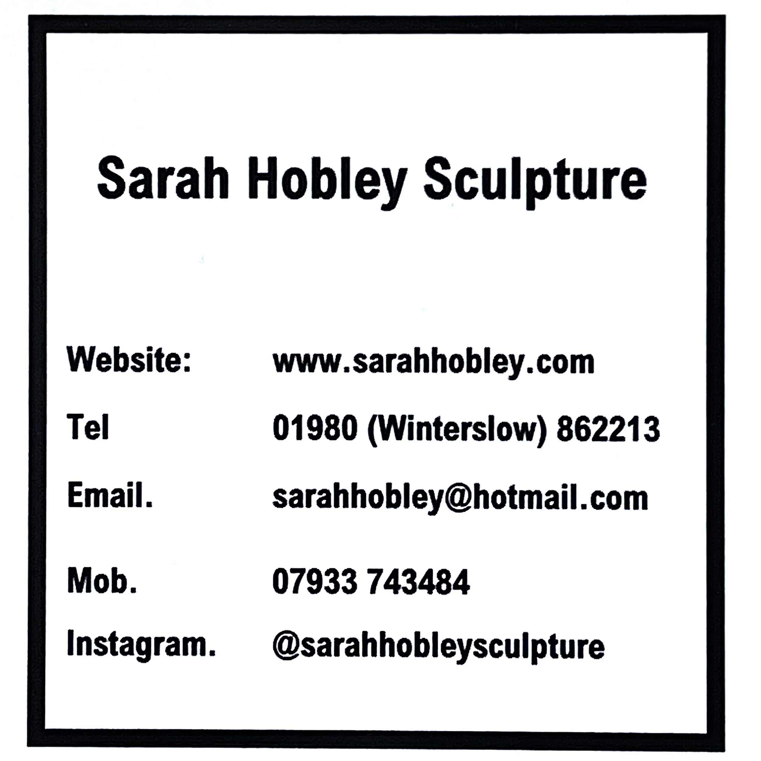 IMG_1135 25 www.sarahhobley.com - Copy.jpeg