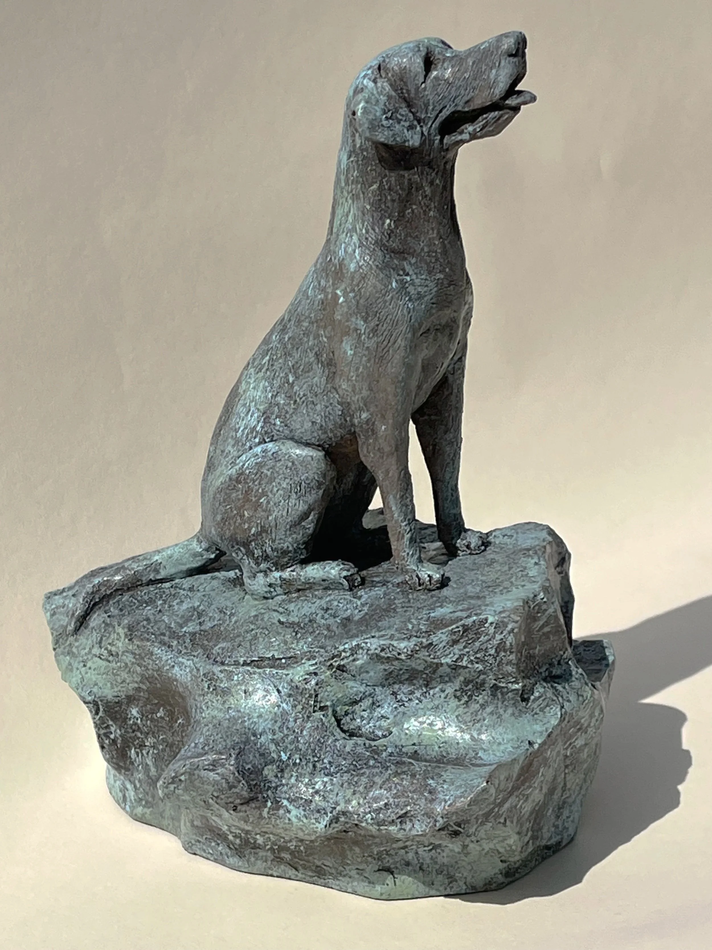 Dog on a Rock - Bronze edition of 8