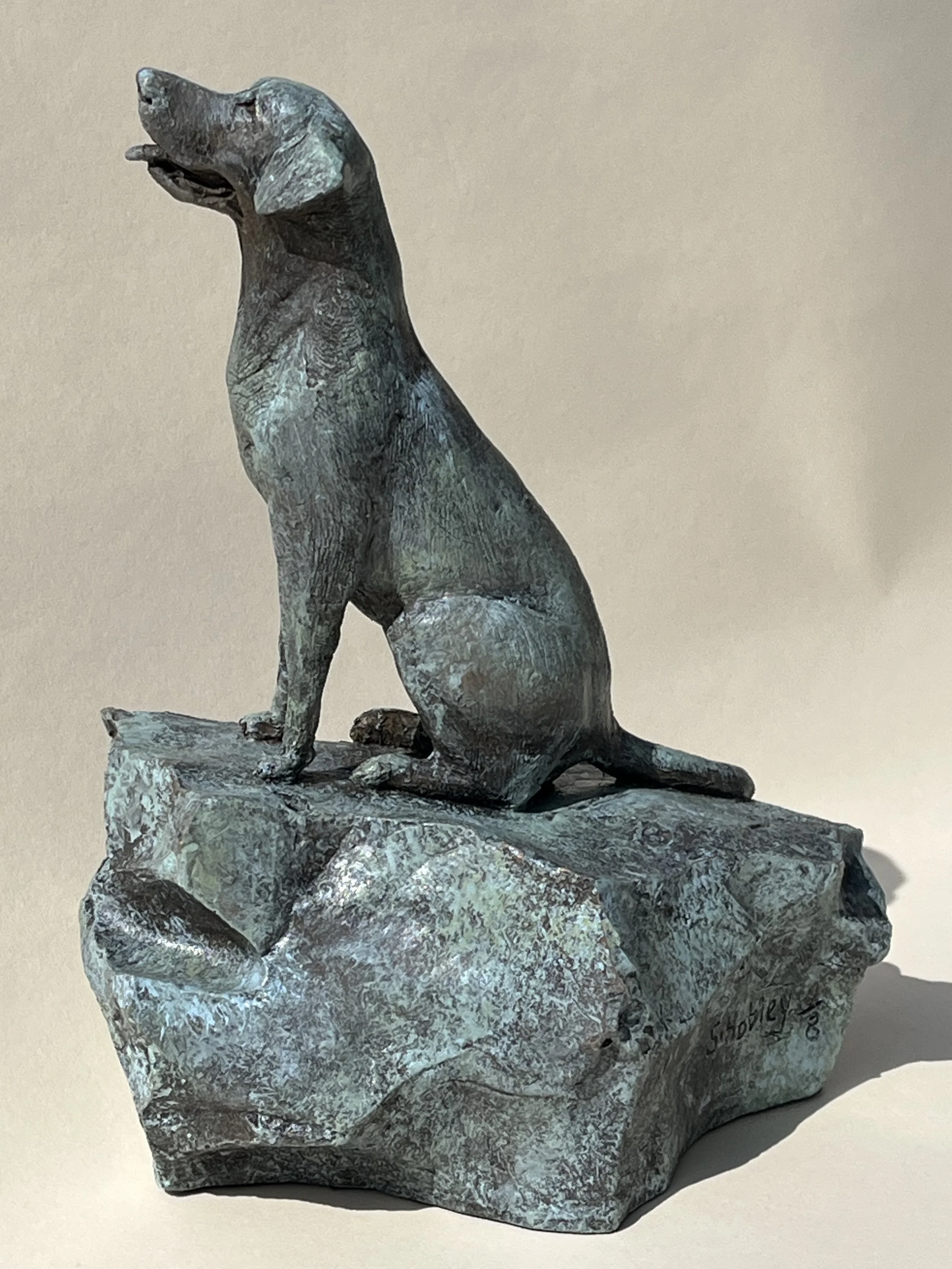 IMG_0218 Dog on a Rock www.sarahhobley.com.jpeg