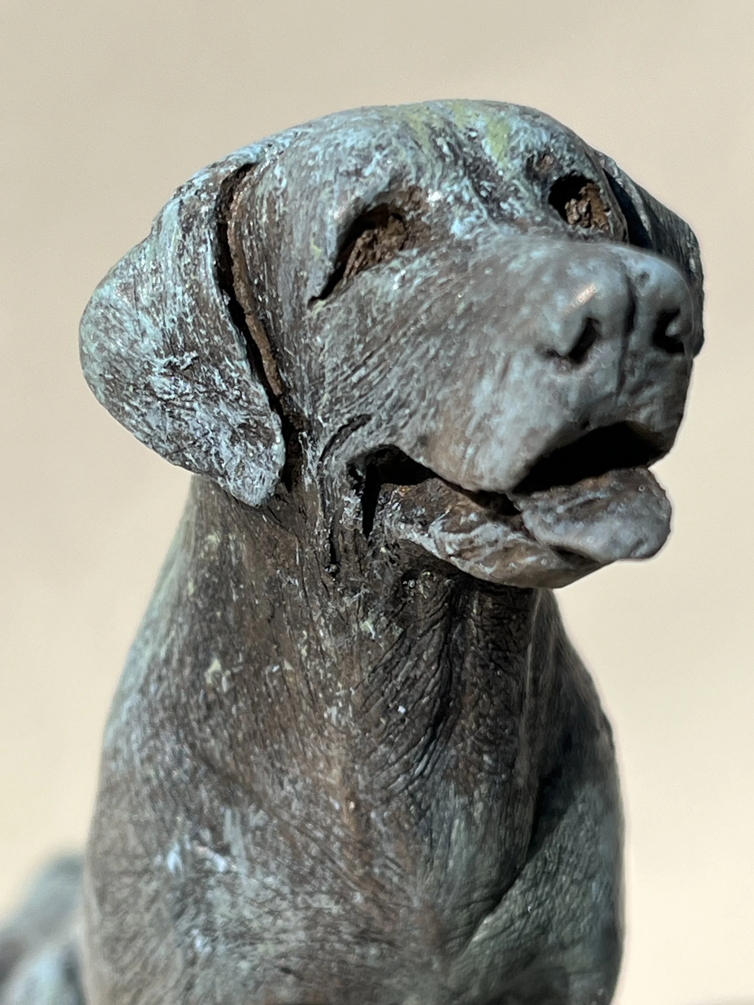 IMG_0216 Dog on a Rock www.sarahhobley.com.jpeg