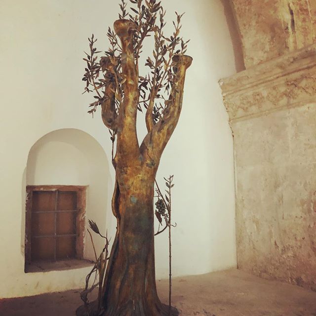 This is called the &ldquo;Peace Tree,&rdquo; in Jerusalem, because this same spot is considered the &ldquo;Most Holy Place&rdquo; for all three of the main religions. Christianity, Judaism and Islam. #profound #thoughtprovoking #religion #god #jesus 