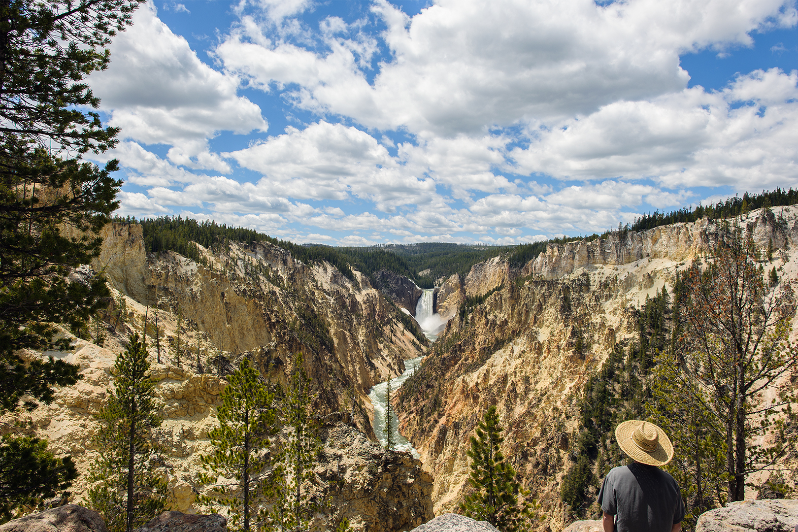 Lower Falls of the Yellowstone River, Artist Point 