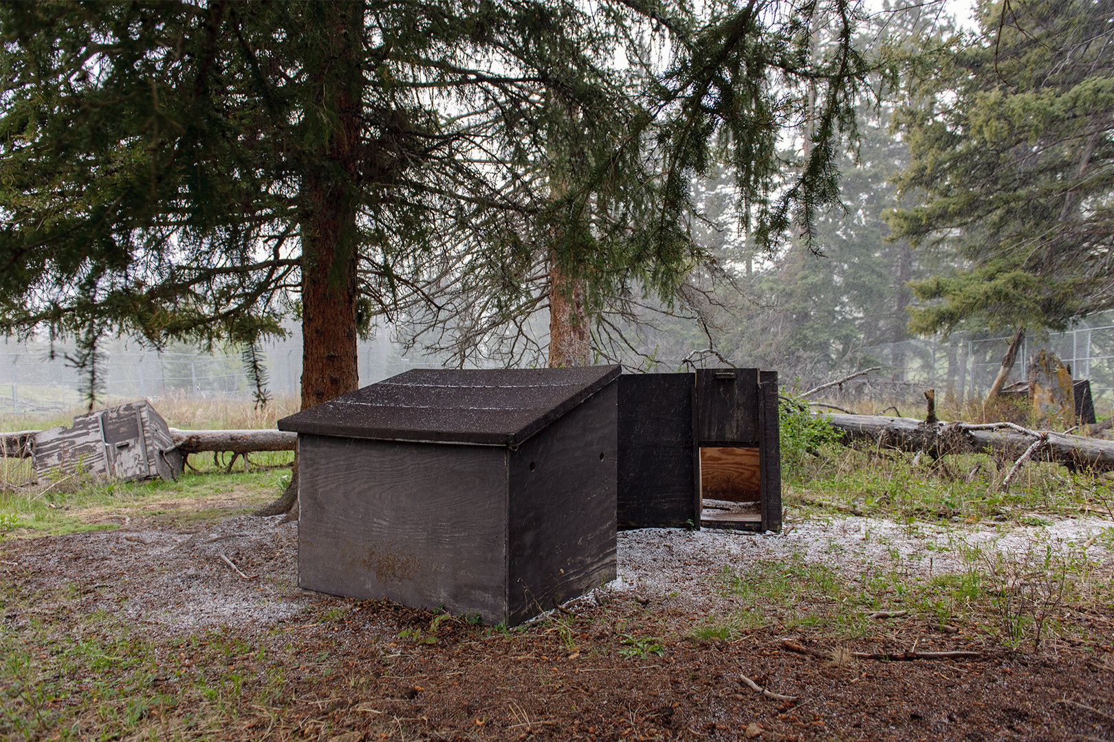 Rose Creek Acclimation Pens (used 1995 &amp; 1996 for Wolf Reintroduction)  