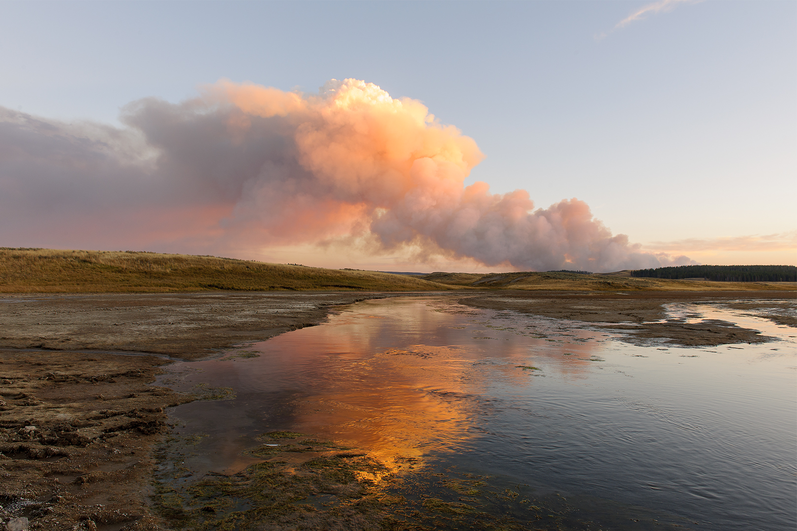 Spruce Fire, Hayden Valley 