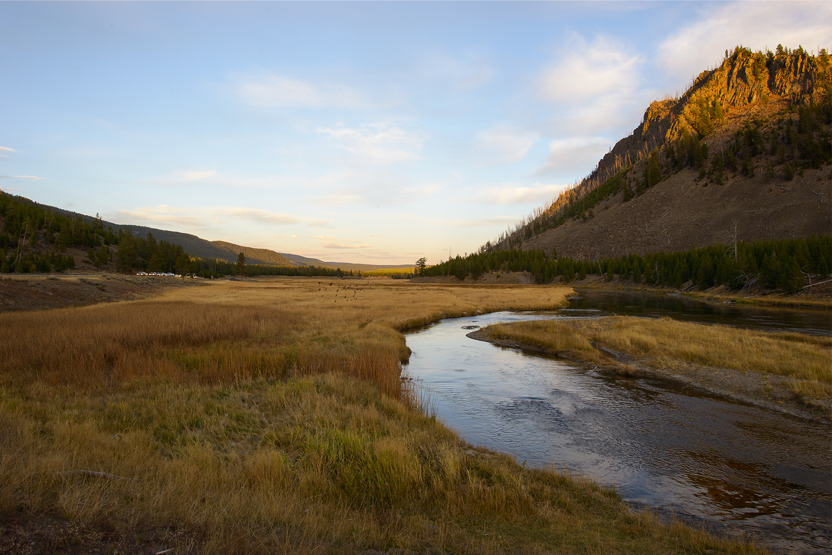 Elk Jam, Madison Valley 